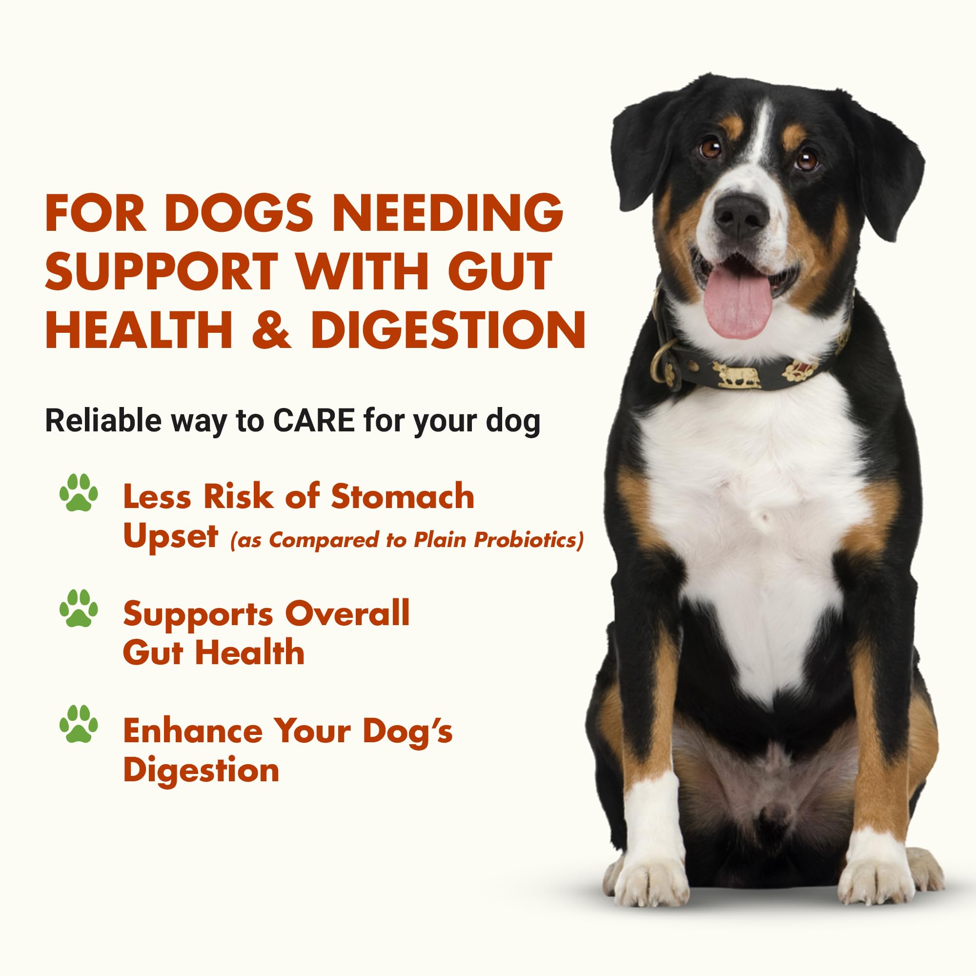 Pre & PostBiotic Support for Dogs – Digestive Upset, Stool Quality & Sensitive Stomach Support – Easy Liquid Formula for Picky Eaters LIQUID-VET buy supplements canada