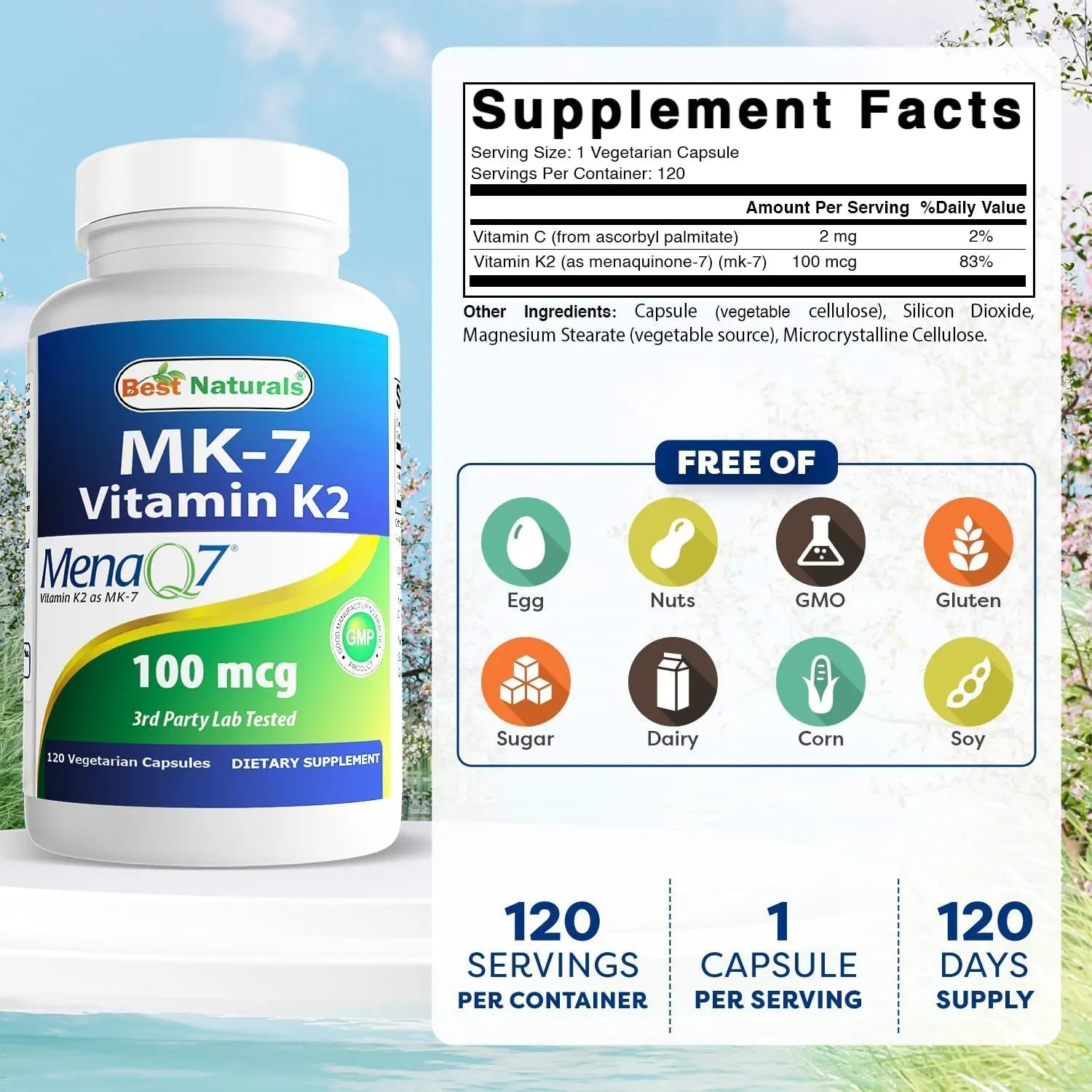 Best Naturals MK-7 Vitamin K2 100 mcg 120 Vcaps Best Naturals buy supplements canada