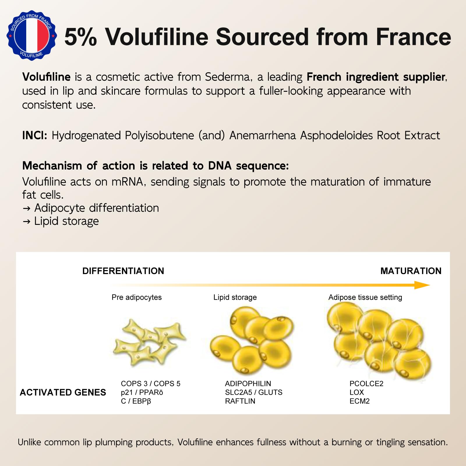 YouthVibe 5% Volufiline Lip Plumper, Nourishing & Anti Aging Over Time with Squalane, Shea Butter, Collagen, Peptide & PDRN - No Burning, No Tingling for Gentle Daily Plumping YouthVibe buy supplements canada