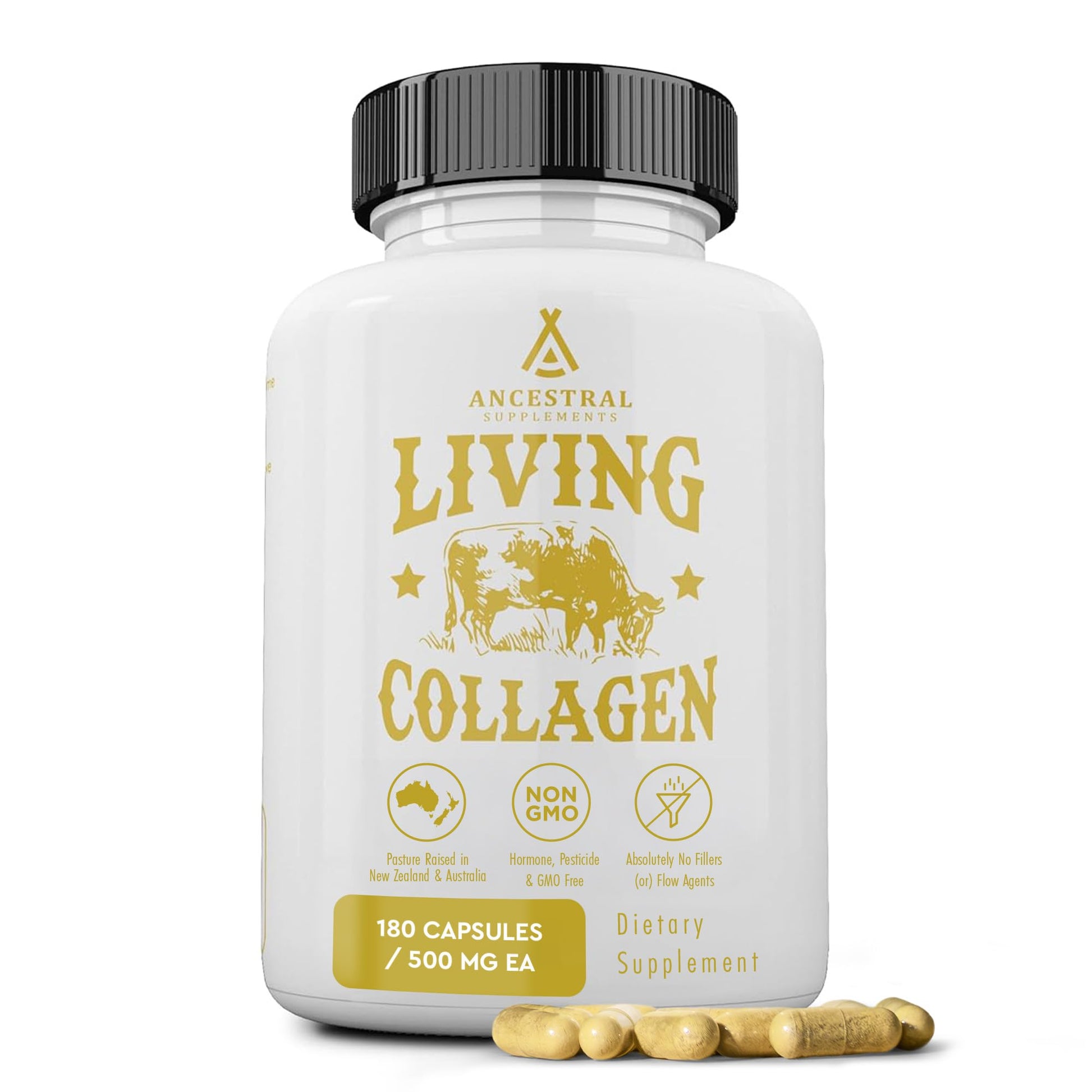 Ancestral Supplements Grass Fed Beef Living Collagen Nutritional Powder Supplement, 3000mg, Promotes Healthier, Younger Looking Skin, Hair Ancestral Supplements buy supplements canada