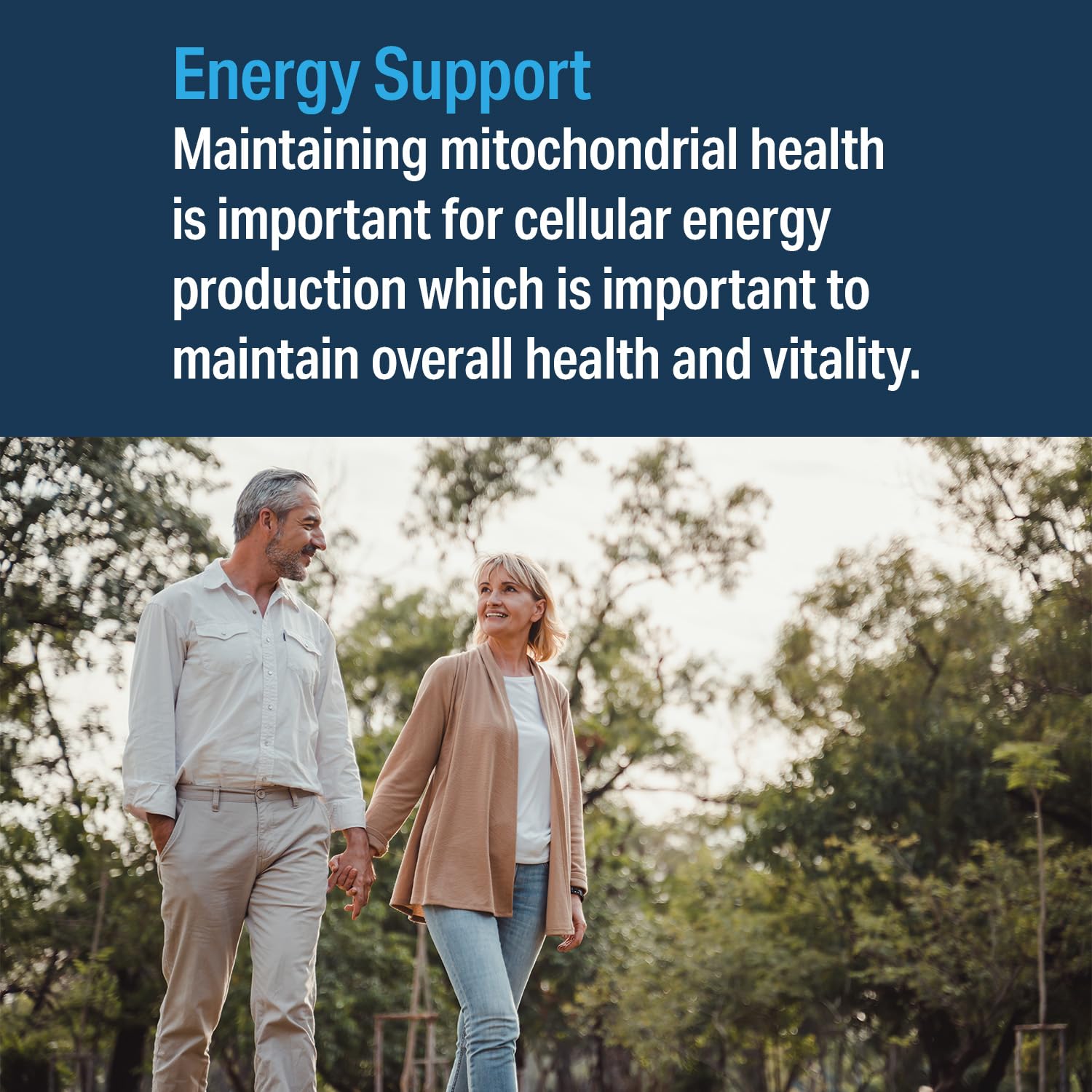 Advanced Bionutritionals – Advanced Mitochondrial Formula Support Supplement, Healthy Aging, Repair, Energy Optimizer with CoQ10, PQQ, Alpha Lipoic Acid, Gluten Free, Vegan, Non GMO (60 Tablets) Advanced Bionutritionals buy supplements canada