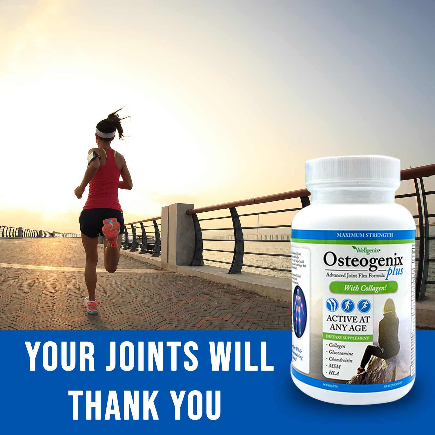 Wellgenix Osteogenix Advanced Joint Flex Formula (90 Ct) - Knee Supplement with Collagen II, Glucosamine, Chondroitin, MSM & HLA - Lubrication & Discomfort Support Tablets for Men & Women Wellgenix buy supplements canada
