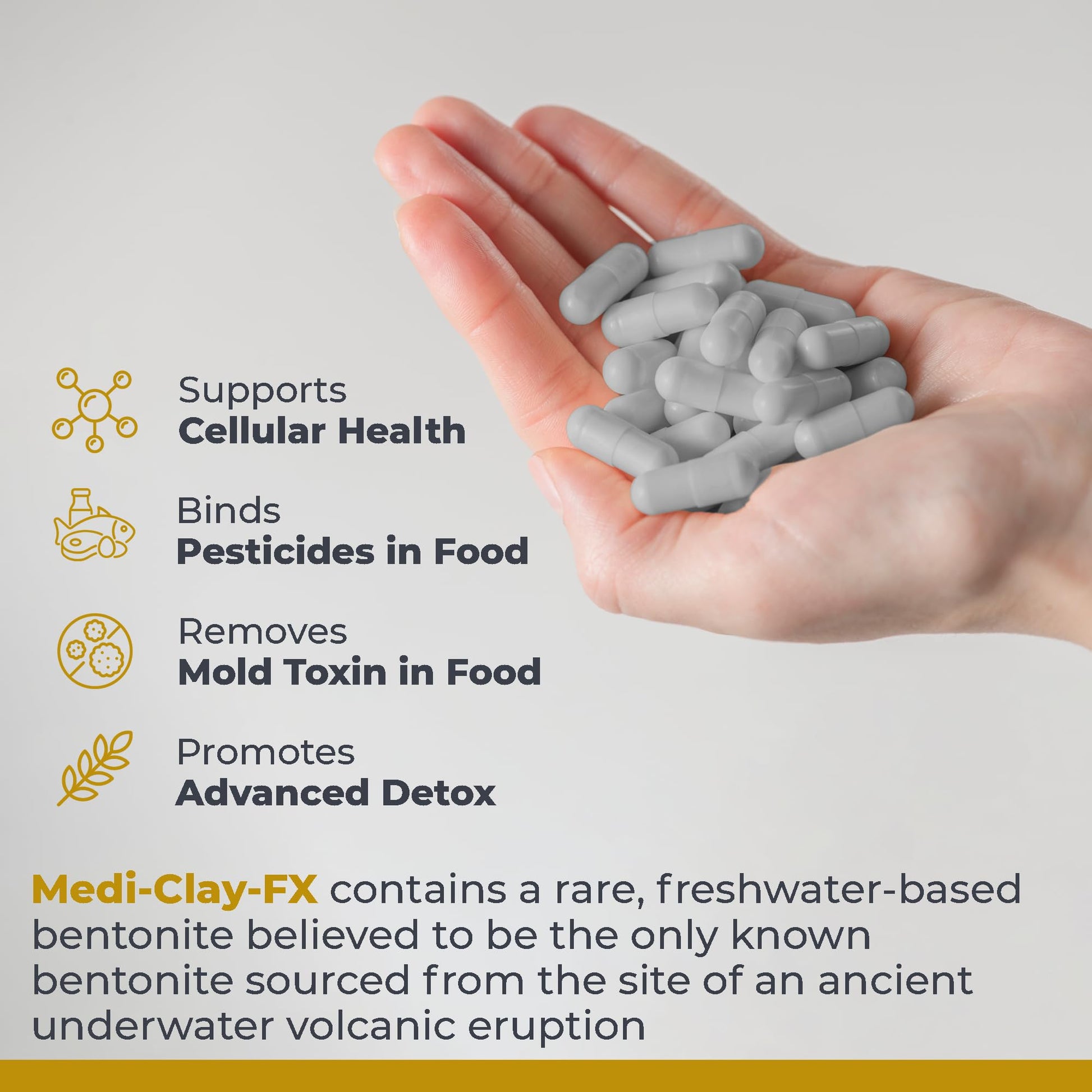 Premier Research Labs Medi-Clay-FX: Bentonite Clay Capsules for Detoxification | Food Grade Smectite Supplement | Absorb Toxins, Supports Cellular Health and Mold Detox - 90 Capsules Premier Research Labs buy supplements canada