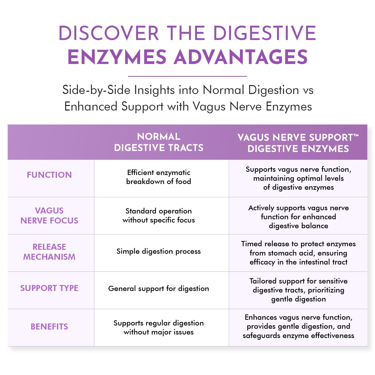 TJ Nutrition Digestive Enzymes for Sensitive Stomachs - Supports Vagus Nerve, Vegetarian Pancreatic Support, Timed Release Formula for Optimal Gut Health, Enhances Food Digestion & Gut Flora TJ Nutrition buy supplements canada