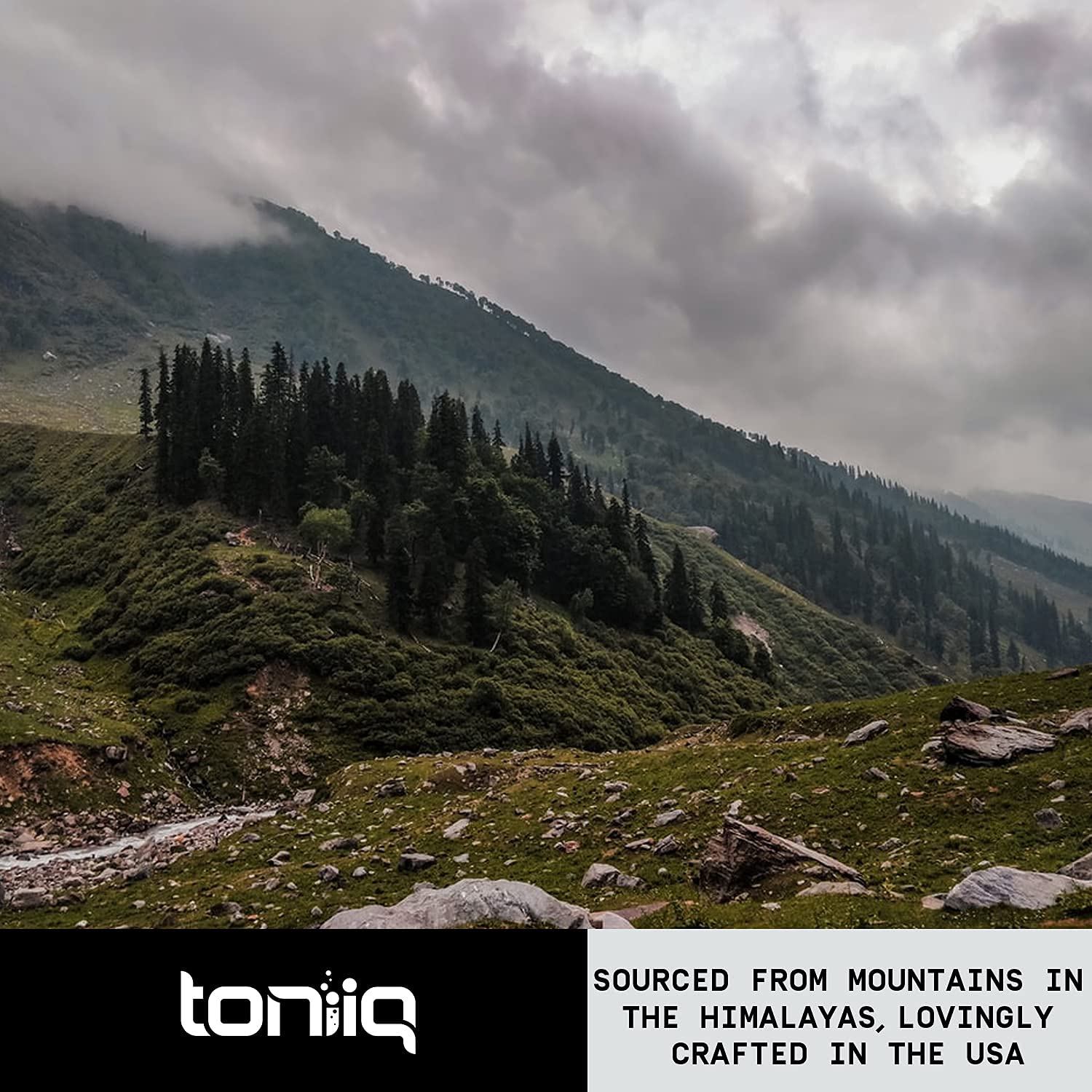 Toniiq Ultra High Strength Berberine HCl 500mg from The Himalayas - Berberine Suppleme Toniiq buy supplements canada