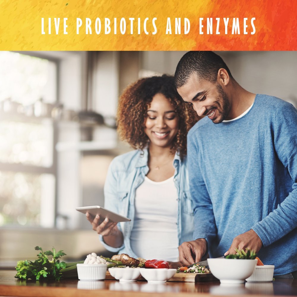 Garden of Life Organic Plant Protein Smooth Energy Powder, 10 Servings - Vegan, Grain Garden of Life buy supplements canada