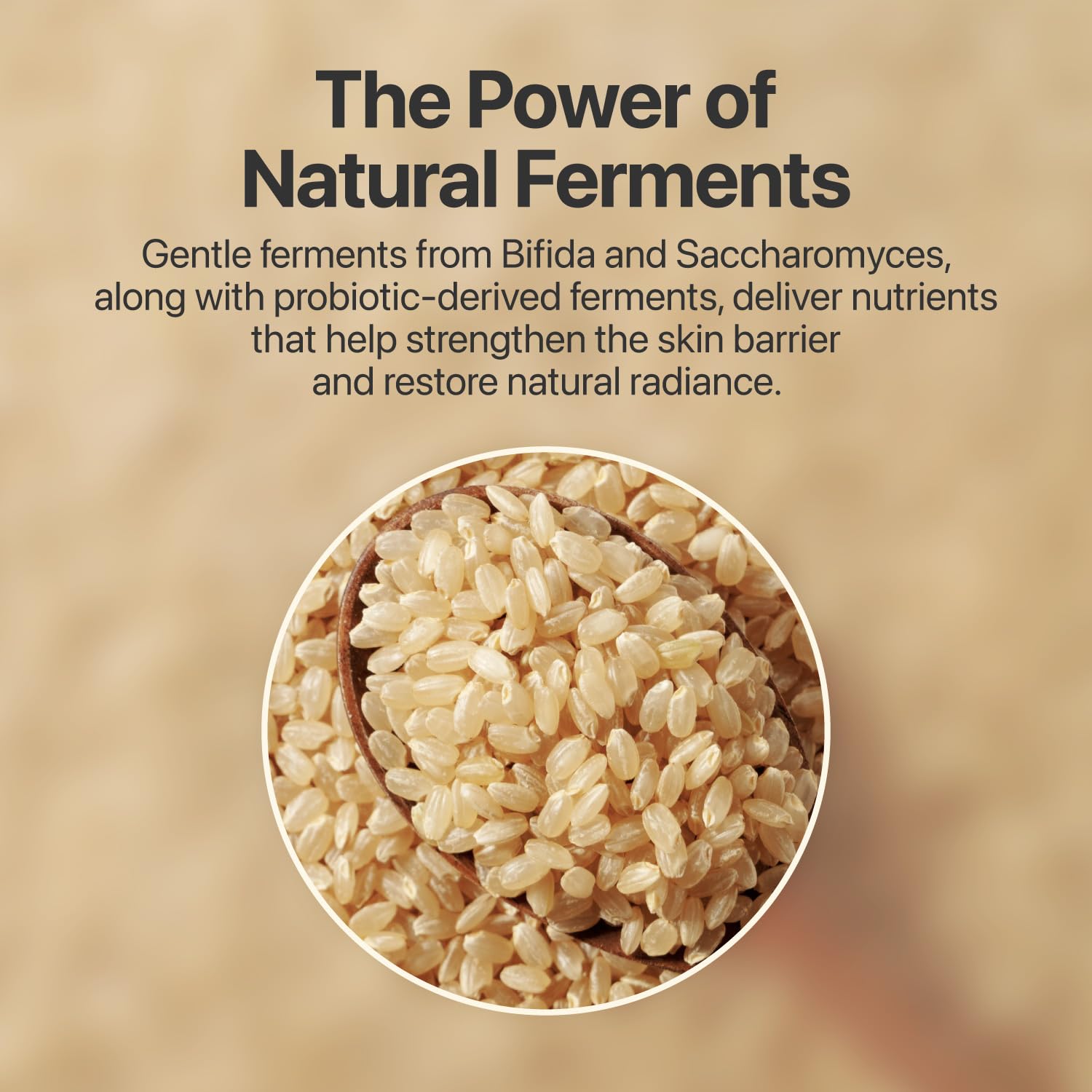 numbuzin No.3 Super Glowing Essence Toner, Fermented Toner for Skin Glow & Texture, Bifida, Niacinamide, Hydrating numbuzin buy supplements canada