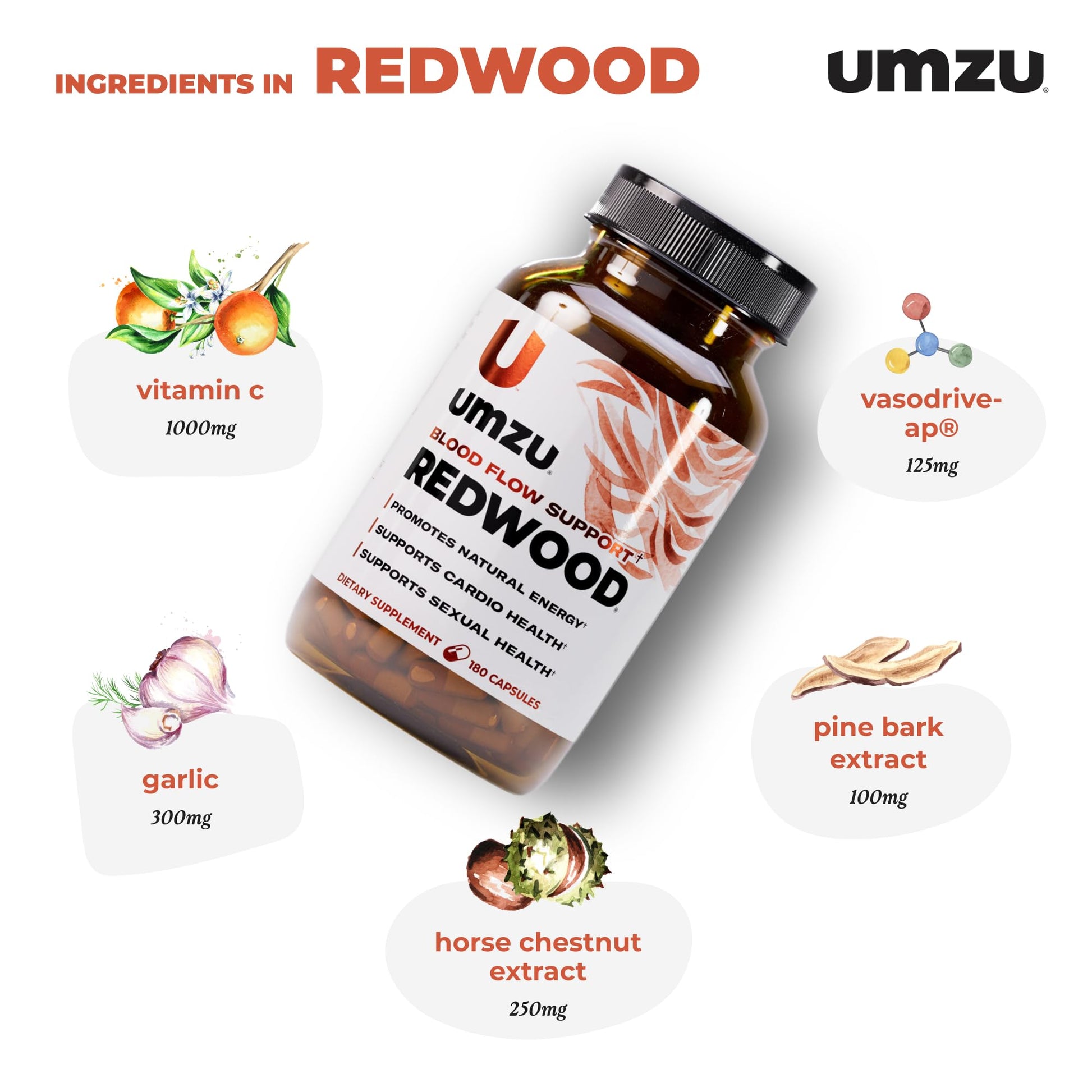 UMZU Redwood Nitric Oxide Booster, (30 Day Supply) – Vitamin C, Garlic & Horse Chestnut – Healthy Circulation & Endurance – Daily Cardiovascular Support Nitric Oxide UMZU buy supplements canada