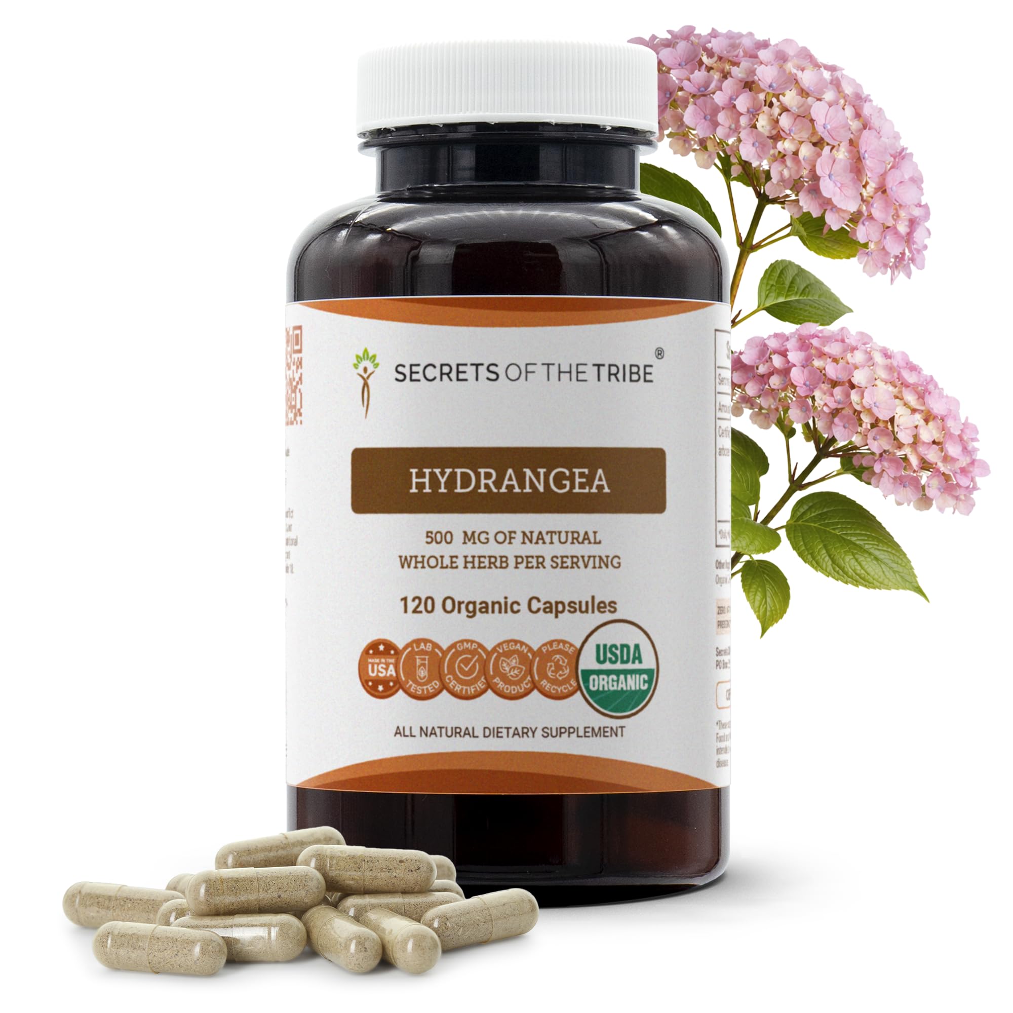 Secrets of the Tribe Hydrangea USDA Organic Capsules | Certified Organic Vegetarian Capsules, Herbal Dietary Supplement | Hydrangea arborescens Dried Root (120 Count) Secrets of the Tribe buy supplements canada