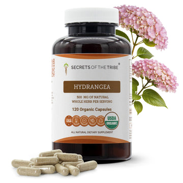 Secrets of the Tribe Hydrangea USDA Organic Capsules | Certified Organic Vegetarian Capsules, Herbal Dietary Supplement | Hydrangea arborescens Dried Root (120 Count) Secrets of the Tribe buy supplements canada