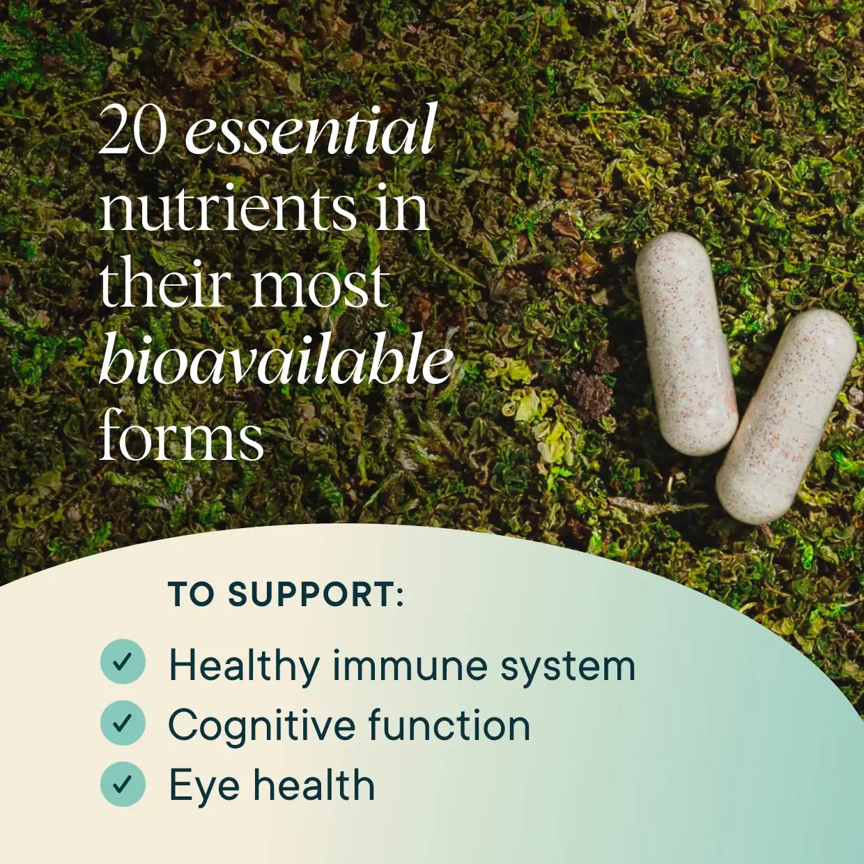Ora Organic Plant Based Multivitamin for Women and Men, Bluelight Protection - Brain, Eye, Energy, Immune, Skin, Hair, Heart Ora Organic buy supplements canada
