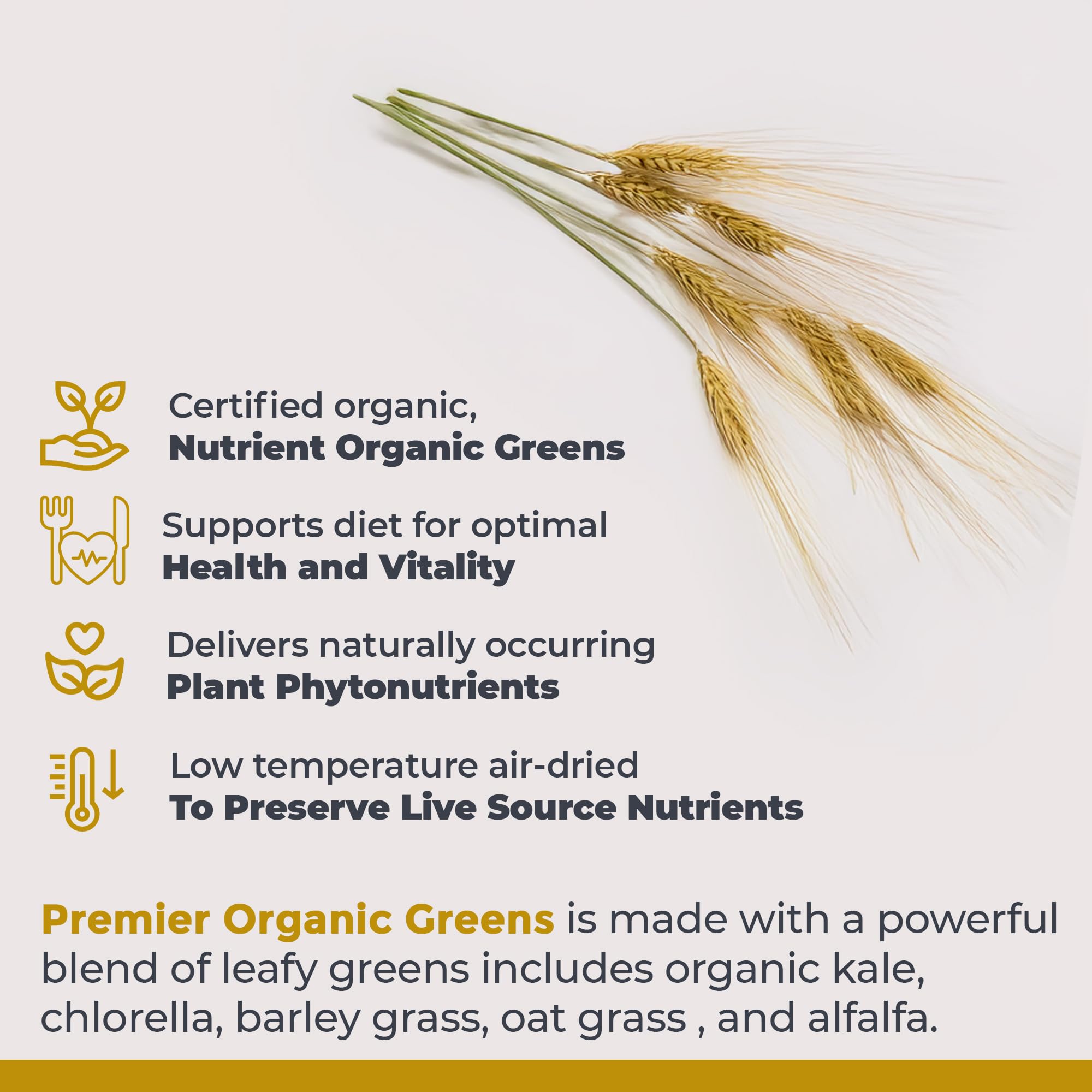 Premier Research Labs Premier Organic Greens - Super Greens Powder, Greens Superfood Powder for Drinks, Green Juice, Nutrition Support, Supergreens for Men & Women, Spinach, Alfalfa, Chlorella - 10 oz Premier Research Labs buy supplements canada
