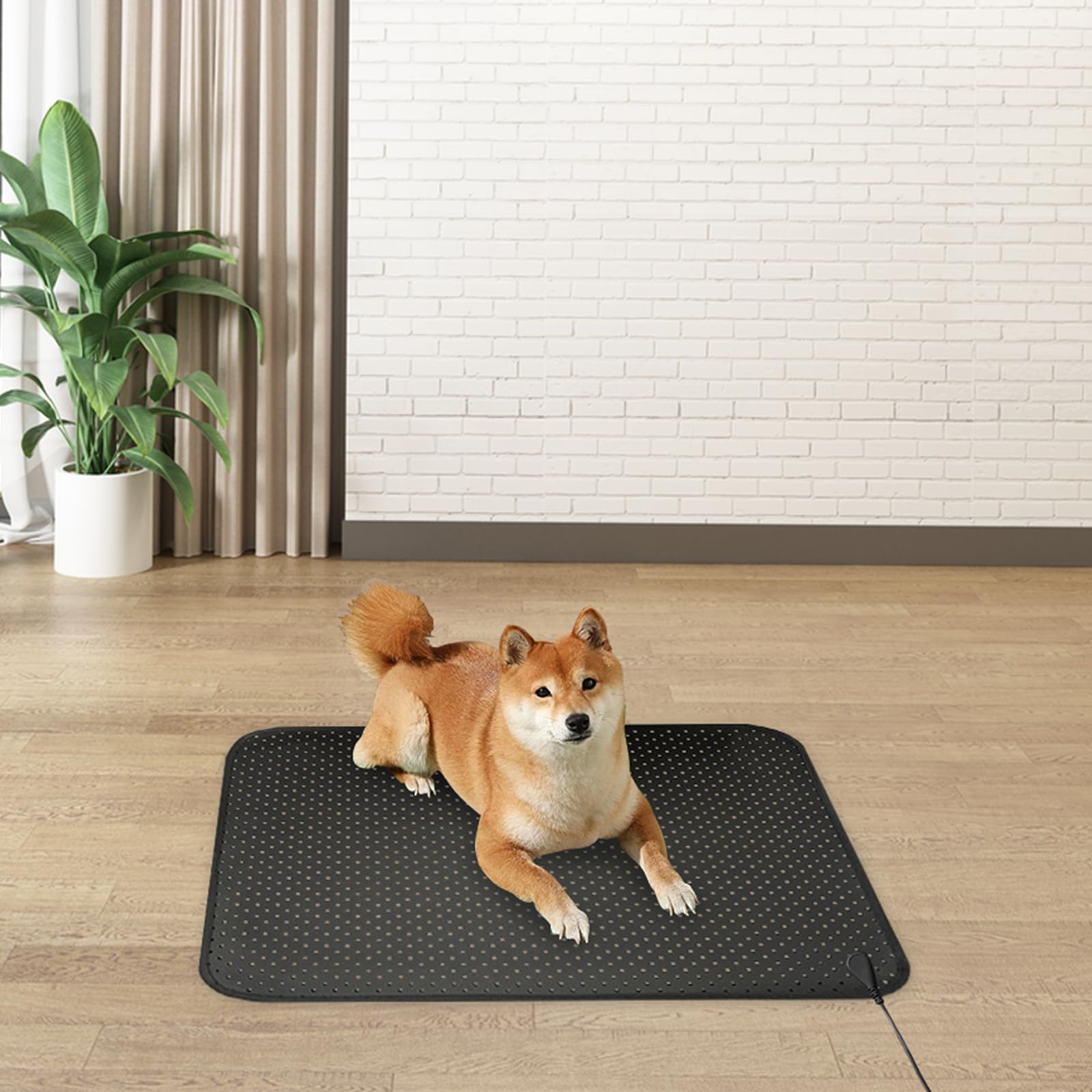 EOHELGRO Grounding Mat, Earth Grounding Mat for Sleeping, Earth Mat Grounding Pad for Energy EOHELGRO buy supplements canada