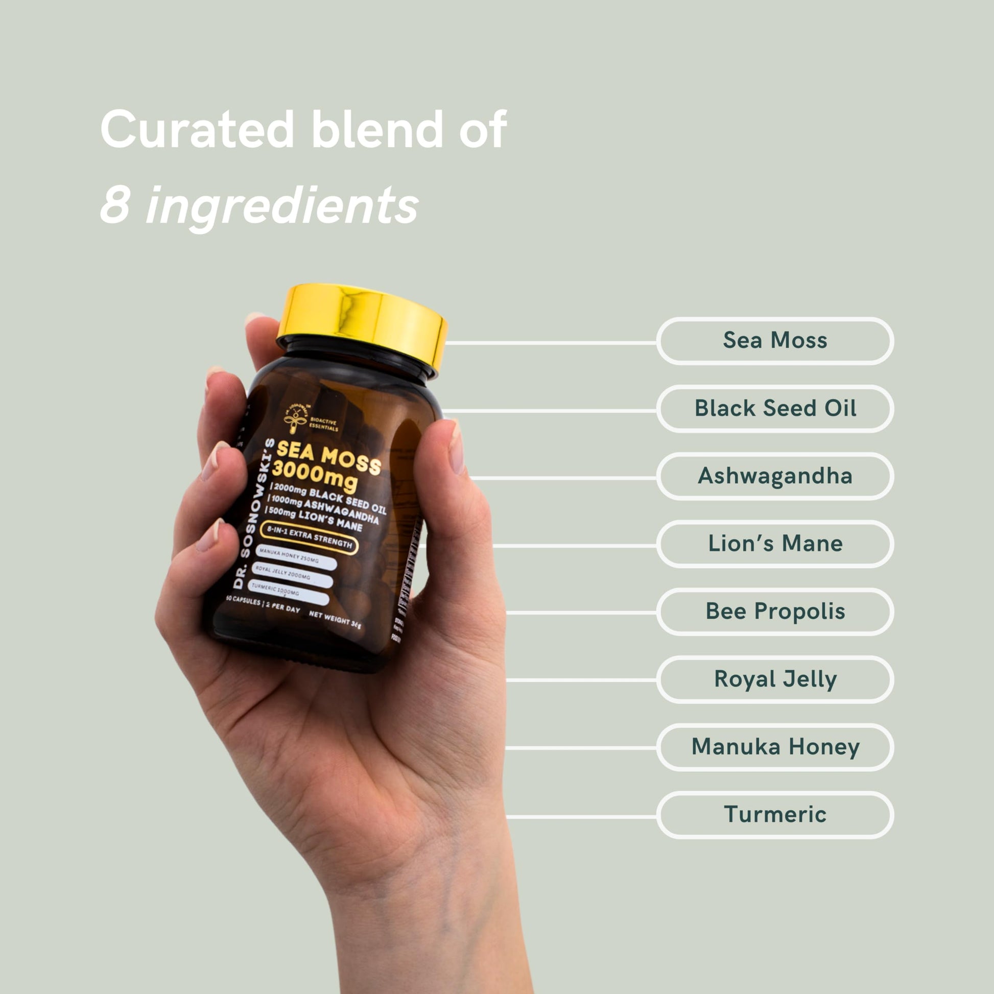 Dr Sosnowski's BioActive Sea Moss | 8-in-1 Formula Enriched with Black Seed, Ashwagandha, Turmeric, Manuka Honey, Lion's Mane, Royal Jelly, Bee Propolis Extract | 60 Capsules Dr Sosnowski's buy supplements canada