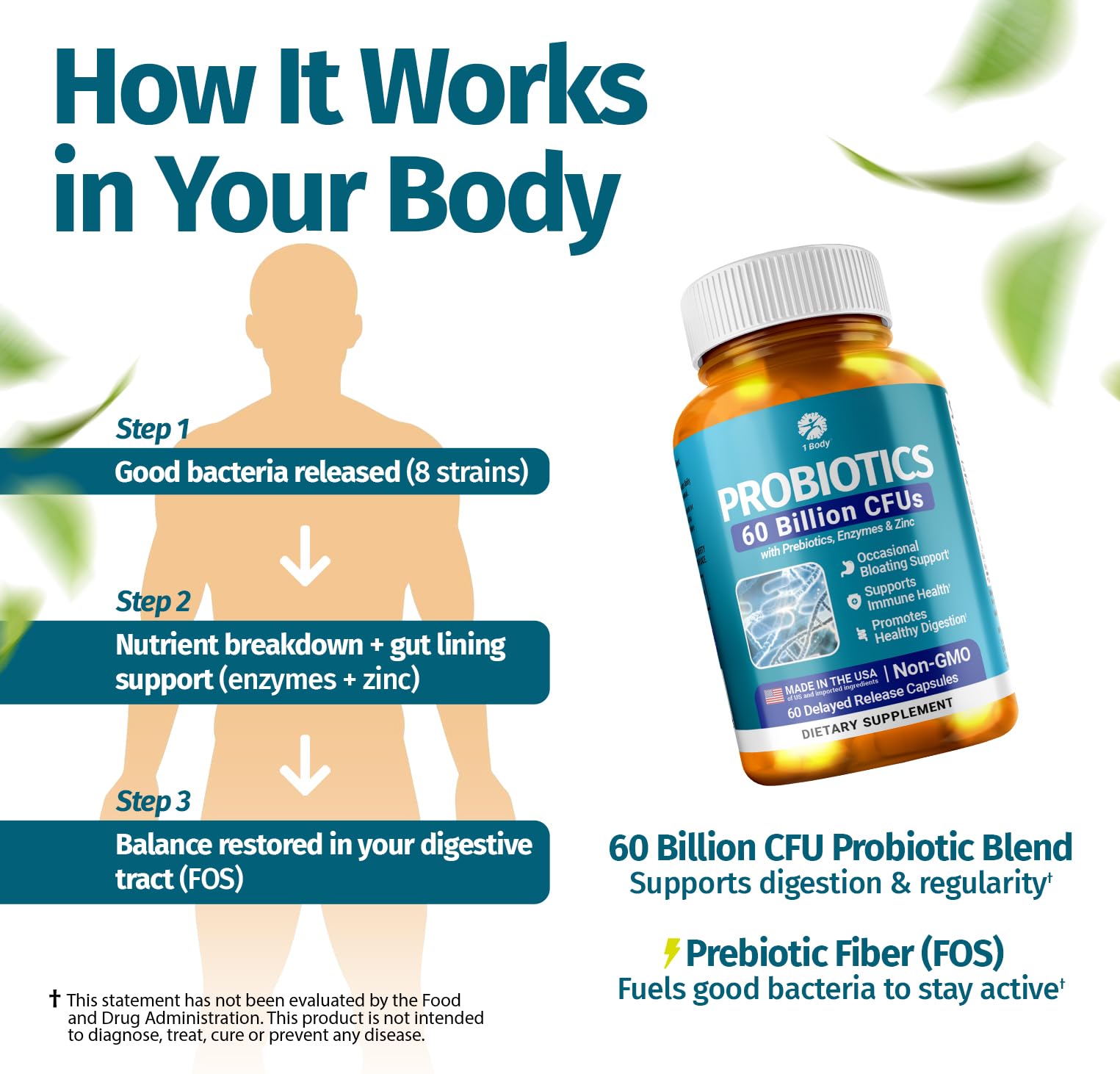 1 Body Probiotic 60 Billion for Men & Women, Gut Health Support with Prebiotics, Digestive Enzymes, Zinc & L-Glutamine, Non-GMO, 60 Vegan Capsules 1 Body buy supplements canada