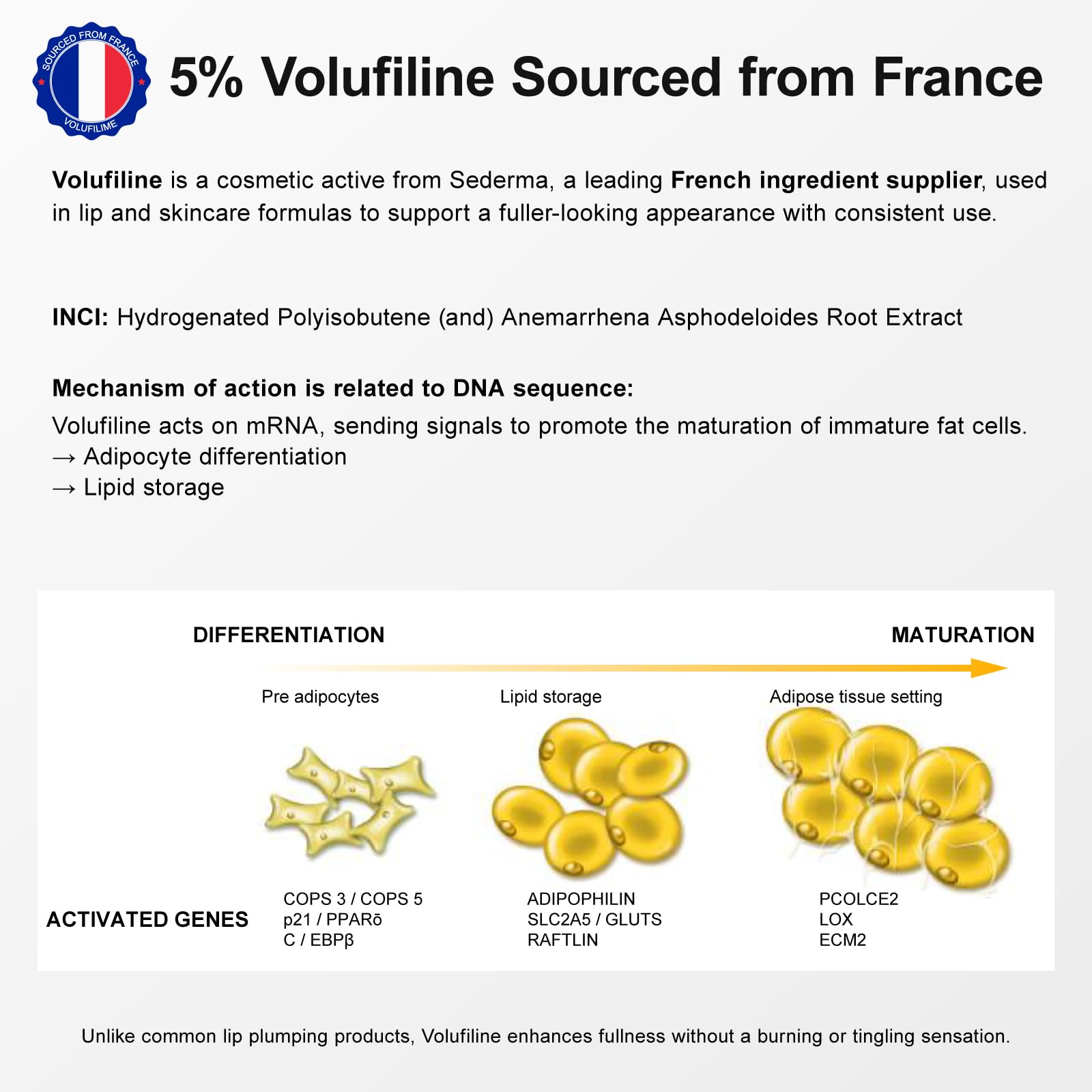 YouthVibe Lip Mask Overnight Moisturizing - Nourish & Hydrate, Antioxidants, 5% Volufiline YouthVibe buy supplements canada