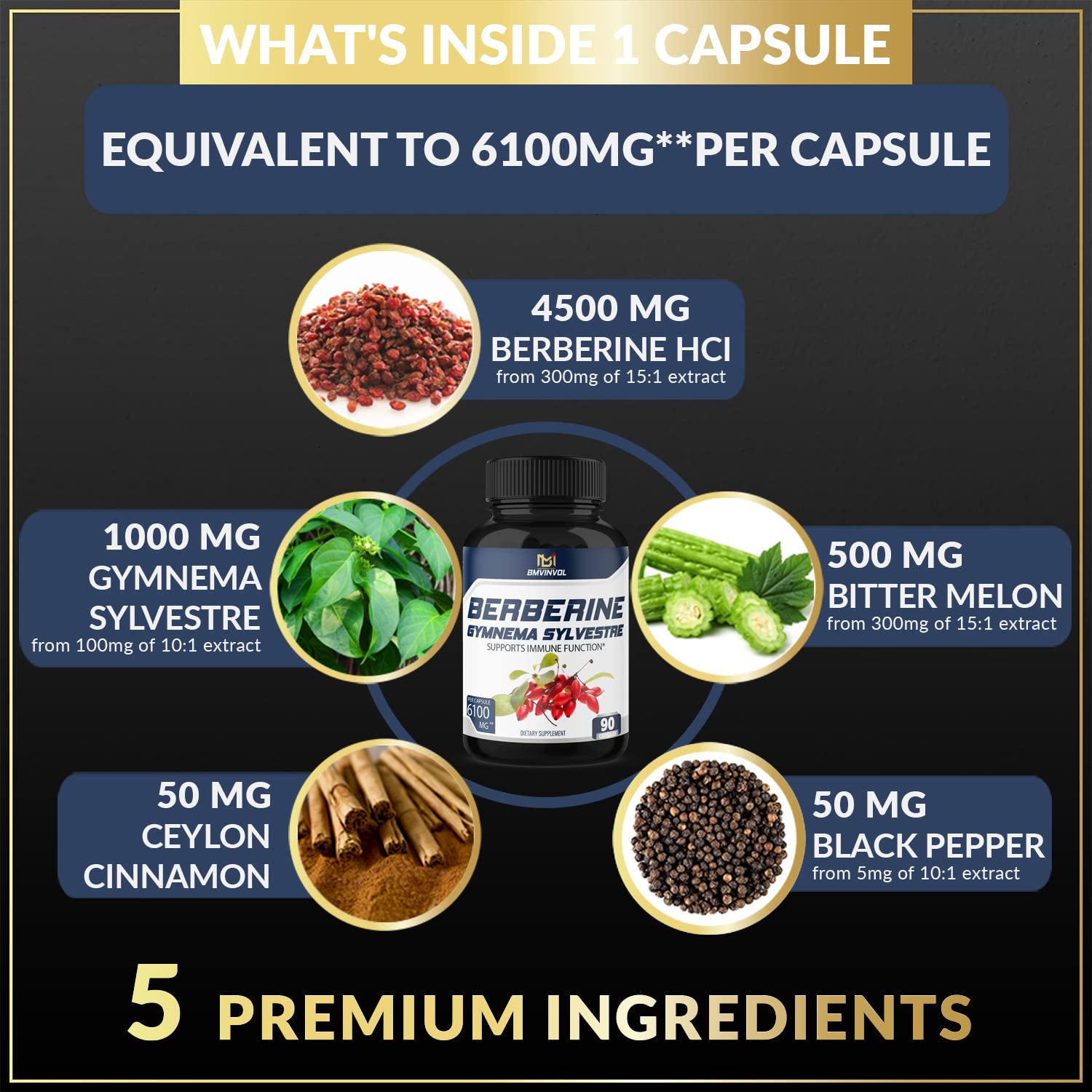 BMVINVOL 5-in-1 Berberine Supplement 6100mg with Ceylon Cinnamon, Gymnema BMVINVOL buy supplements canada
