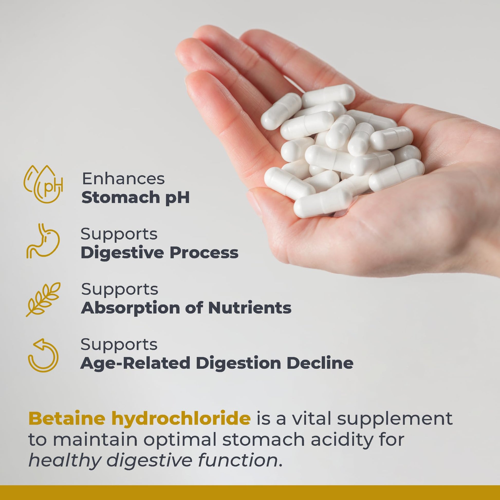 Premier Research Labs Premier HCL - Betaine HCL, Betaine Hydrochloride Supplement for Optimal Digestive Function, Nutrient Absorption, Betaine-HCL for Low Stomach Acid- 90 Vegetarian Capsules (2 Pack) Premier Research Labs buy supplements canada