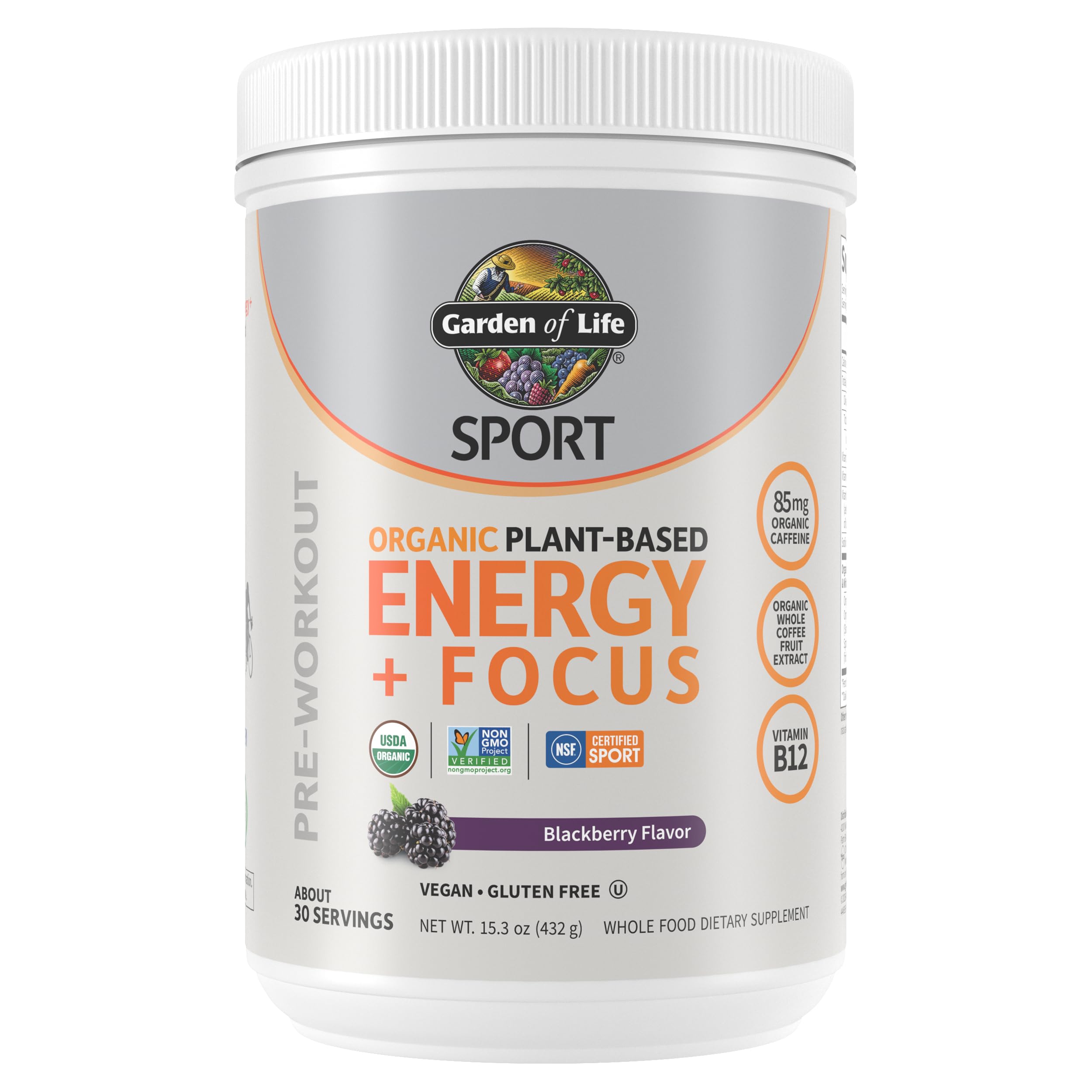 Garden of Life Sport Organic Plant Based Energy + Focus Clean Pre Workout Powder, with 85mg Caffeine, Natural No Booster, B12, Vegan, Gluten Free, Non-GMO, BlackBerry, 15.3 Oz Garden of Life buy supplements canada