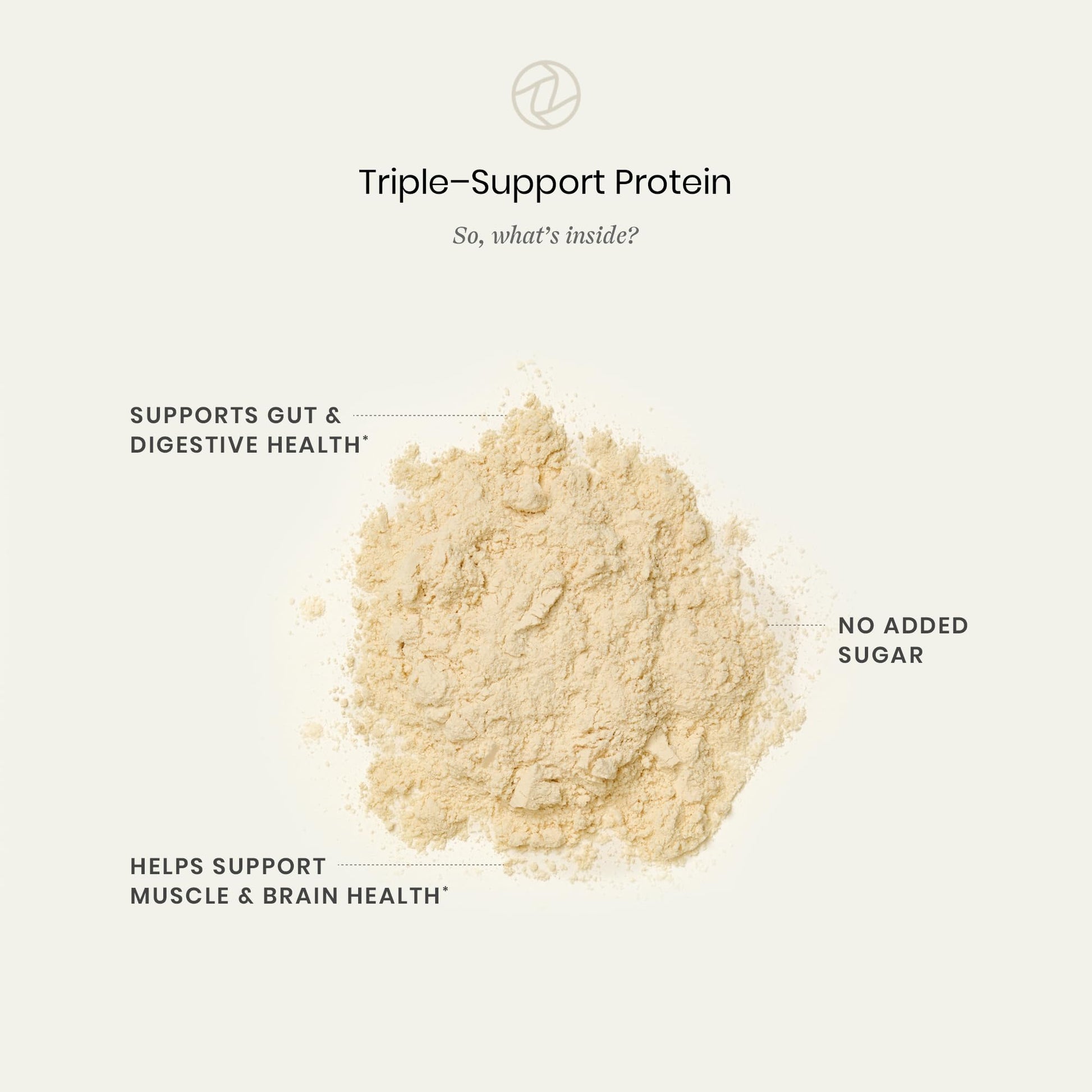 Perelel Triple-Support Plant Based Protein Powder, Creamy Vanilla, 20g Vegan Protein Powder, 3g Creatine Monohydrate, & 5g Prebiotic Fiber per Serving, Dairy Free, Perelel buy supplements canada