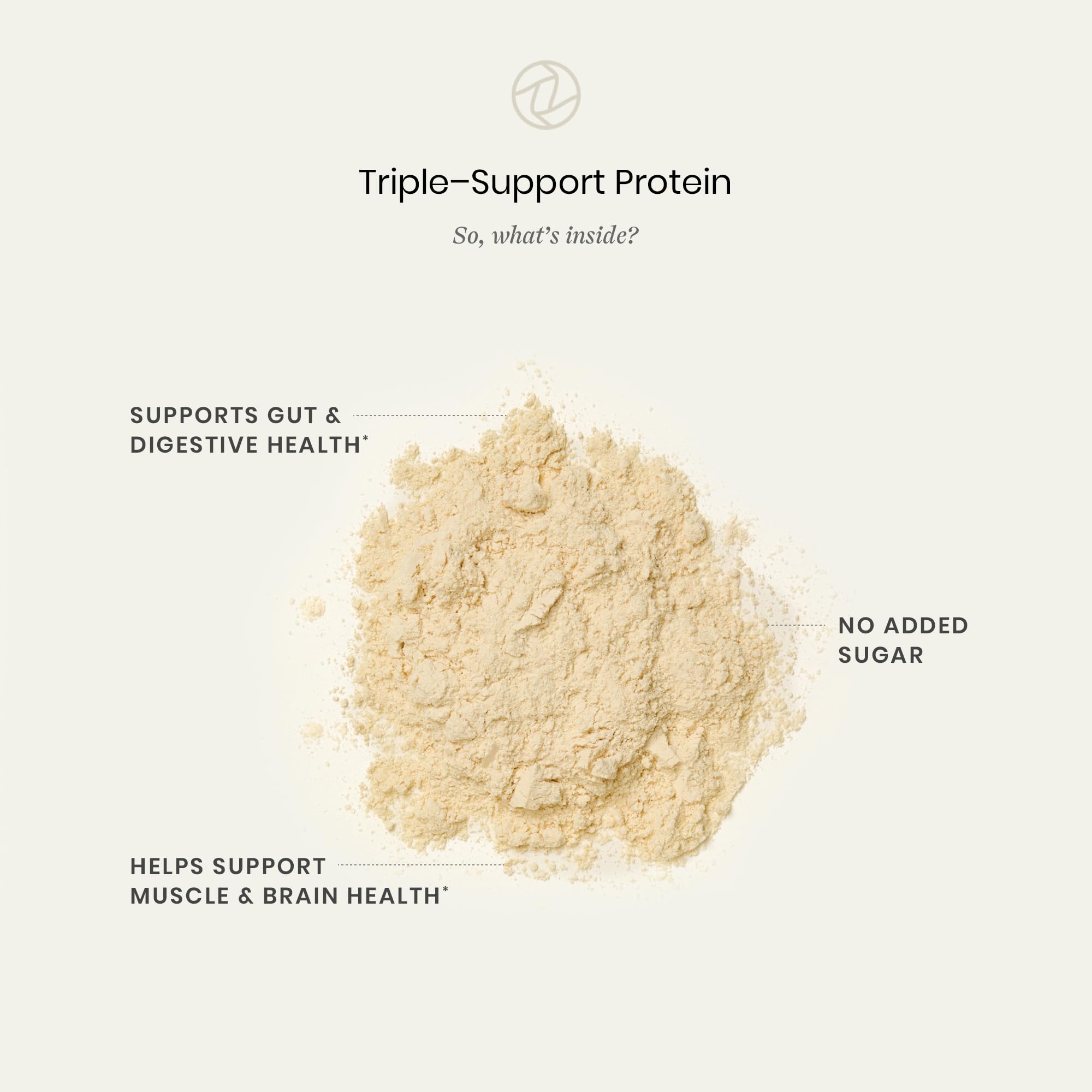 Perelel Triple-Support Plant Based Protein Powder, Creamy Vanilla, 20g Vegan Protein Powder, 3g Creatine Monohydrate, & 5g Prebiotic Fiber per Serving, Dairy Free, Perelel buy supplements canada