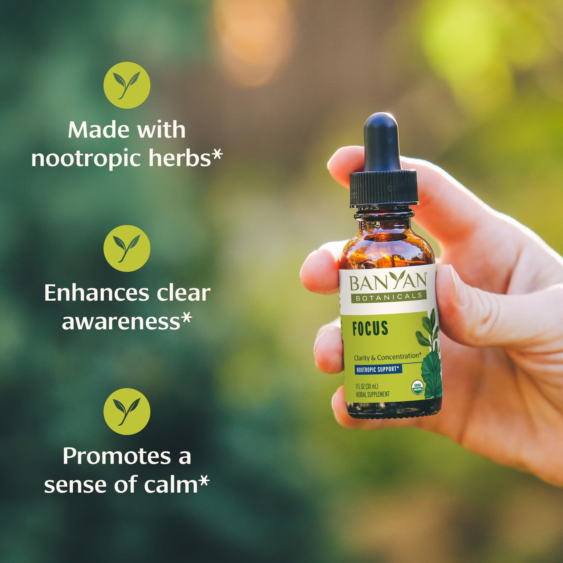 Banyan Botanicals Focus Liquid Extract – Organic Focus Supplement – Liquid Extract in Non-Alcoholic Glycerin – Nootropic Herbs for Fast-Acting Support* – 1 oz. – Non-GMO Sustainably Sourced Vegan Banyan Botanicals buy supplements canada