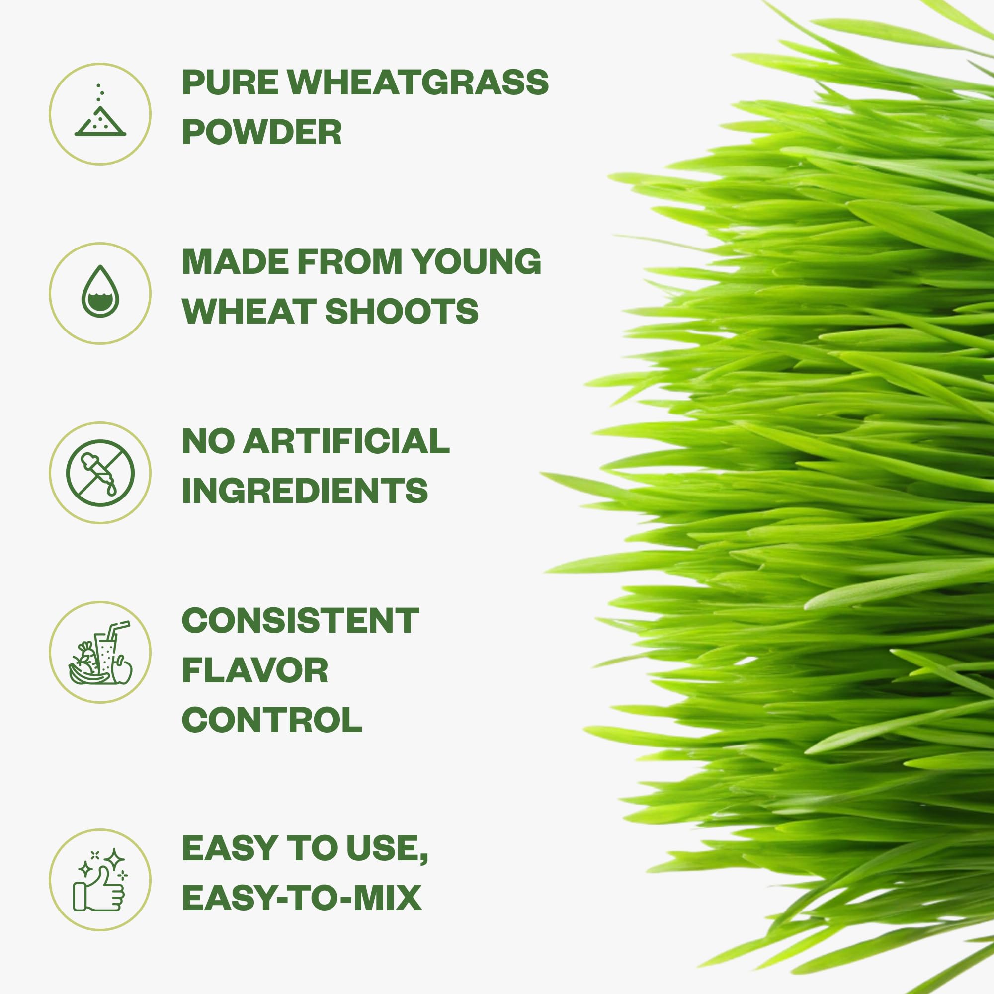 Purisure Wheatgrass Powder, 8oz, Wheat Grass Powder, Green Superfood for Salads, Smoothie and Shakes, Superfood Powder Rich in Immunity Vitamins, Fiber and Minerals, 76 Servings Purisure buy supplements canada