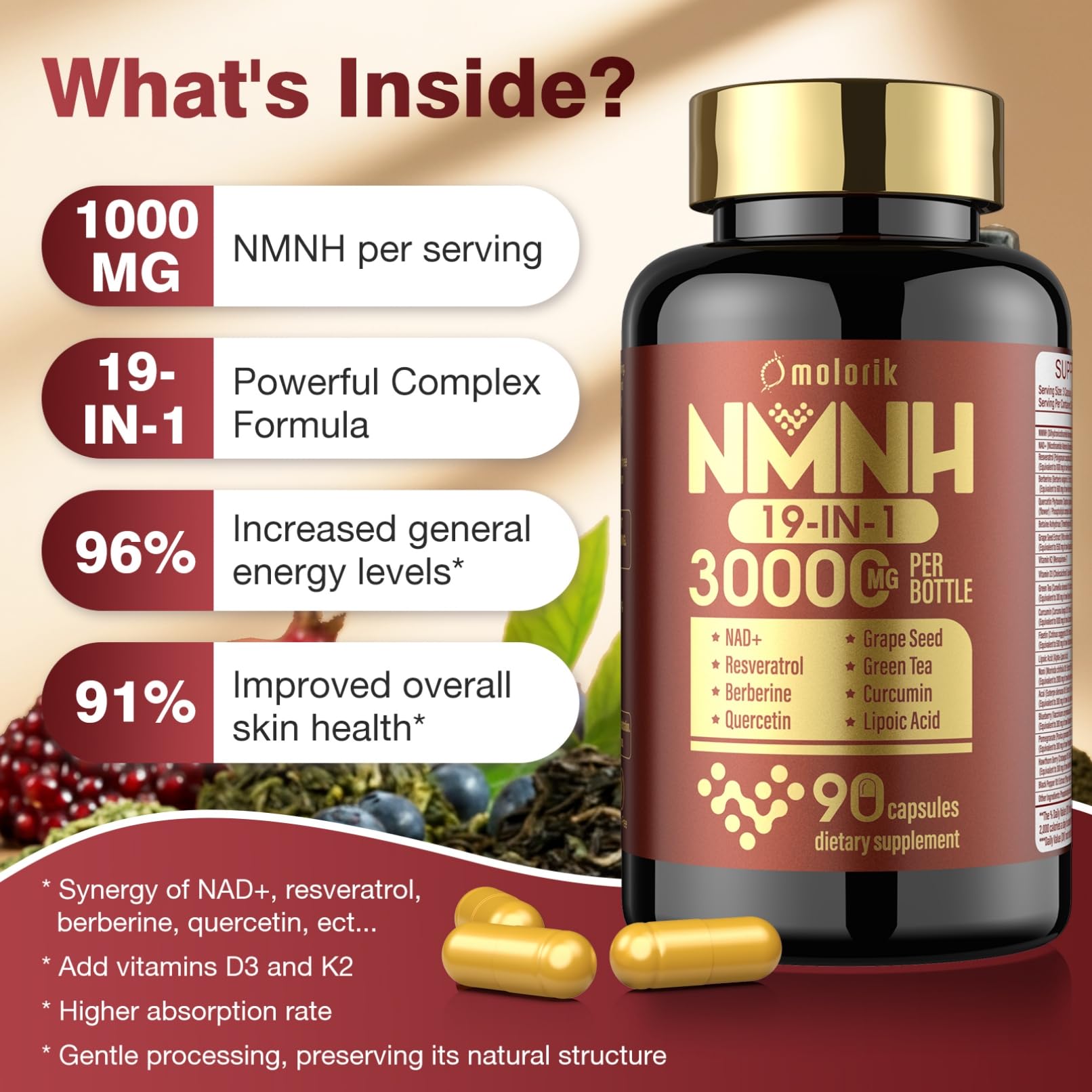 19 in 1 NMNH (Dihydronicotinamide Mononucleotide) 1000mg Per Serving, Nad Supplement Boost NAD+ Levels Nad Resveratrol Supplement with Quercetin, Vitamin D3 K2, Healthy Aging, Energy, 90 Capsules molorik pure buy supplements canada