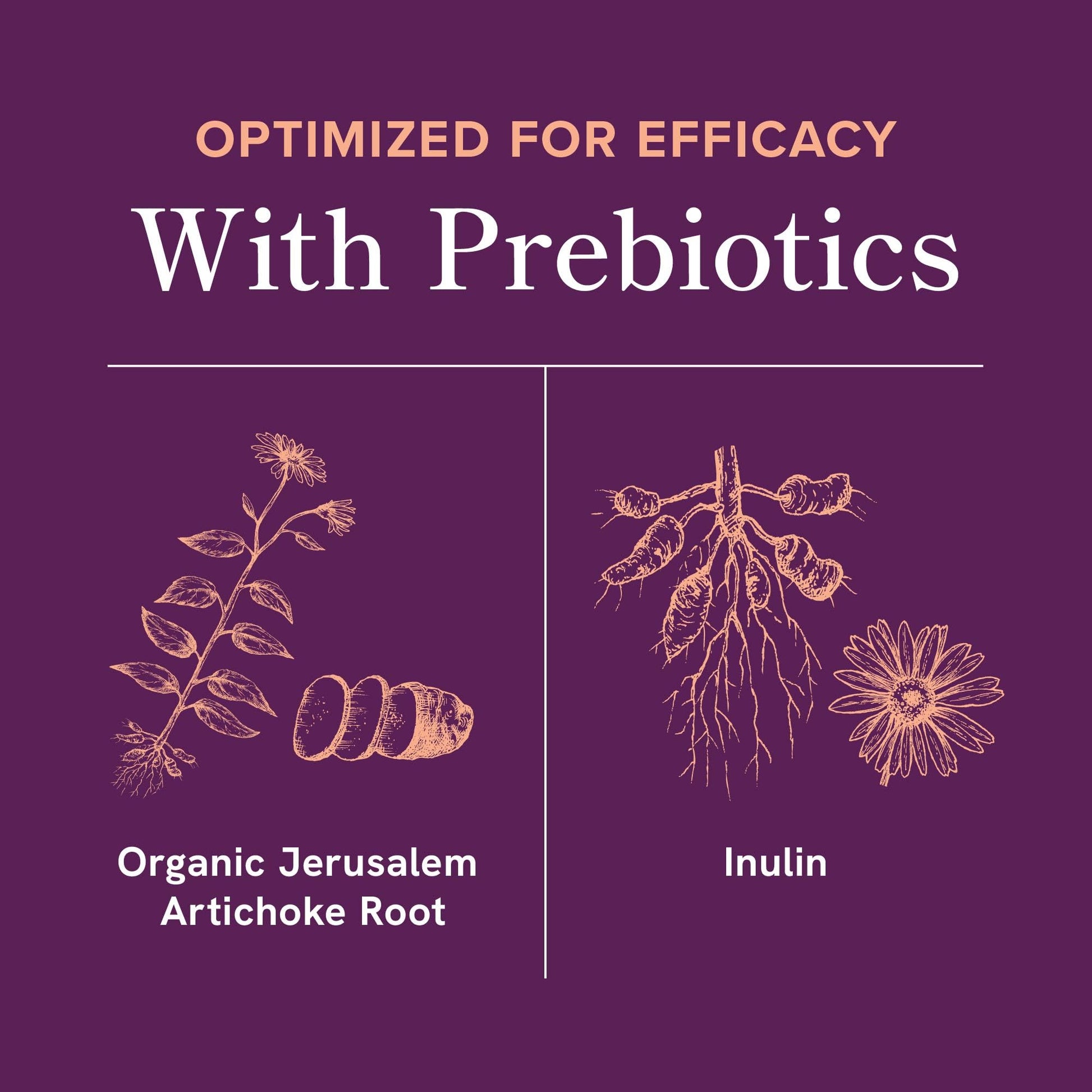 Menopause Support with Prebiotics and Probiotics for Women | Hormone Balance, Hot Flashes & Night Sweats | 50 Billion CFU, DIM & Black Cohosh | Triple Action Menopause Supplements for Women | 30 Ct SMNutrition buy supplements canada