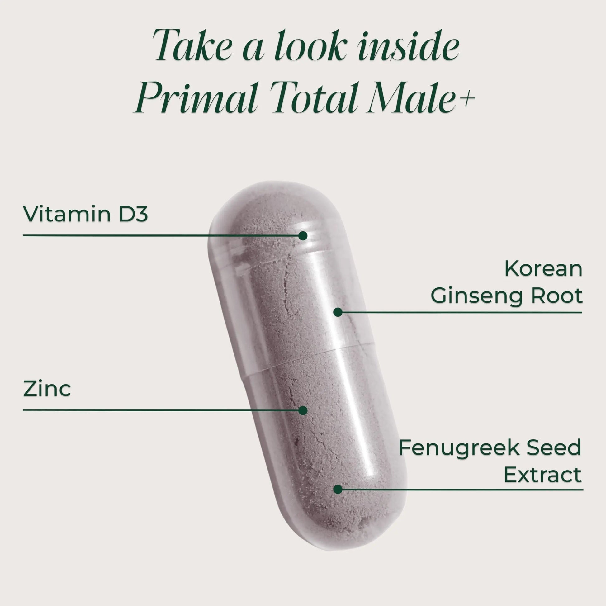 Primal Harvest Total Male+ Multivitamin for Men Vitamins, Minerals and Herbal Support for Energy, Vitality, Immune Health Primal Harvest buy supplements canada