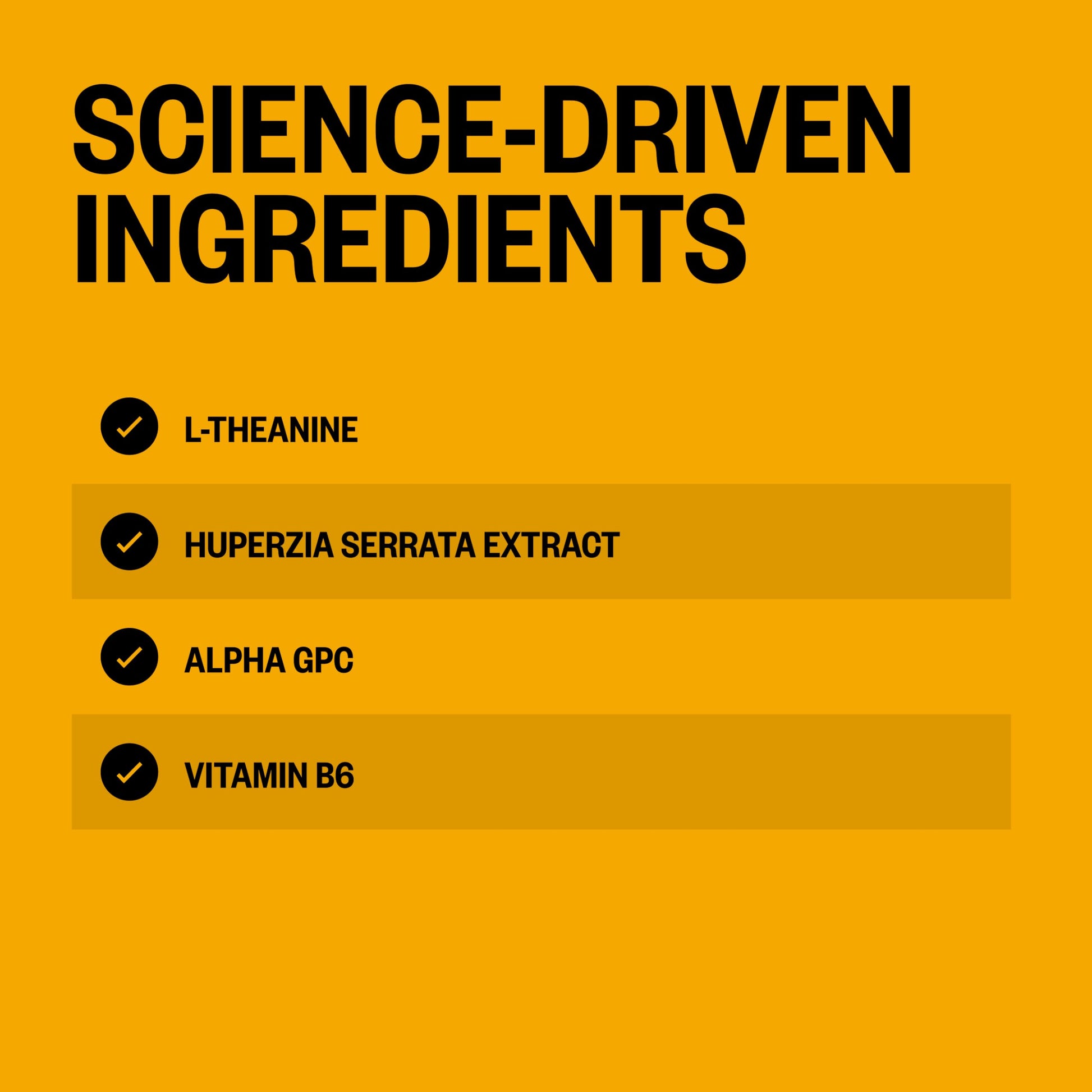 ONNIT Alpha Brain Instant Cognitive Support Drink Mix, Nootropic Supplement for Focus, Memory and Clarity, Peach Flavor, 0.13 oz Packets, 30 Count ONNIT buy supplements canada