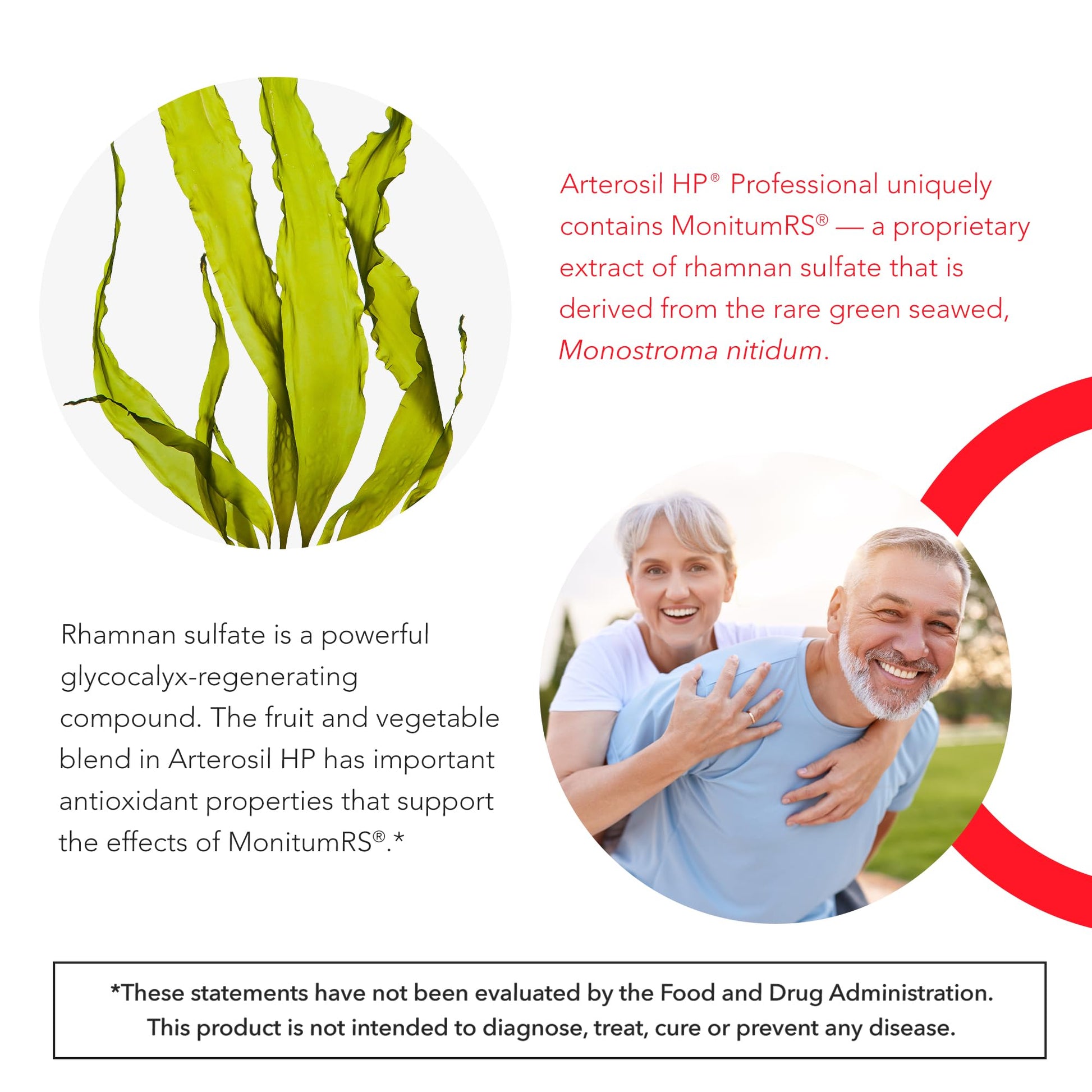 Calroy Health Sciences Arterosil HP Professional - Endothelial Glycocalyx Support - Heart Health Support - Artery Health Support - Circulation Support – MonitumRS Calroy Health Sciences buy supplements canada