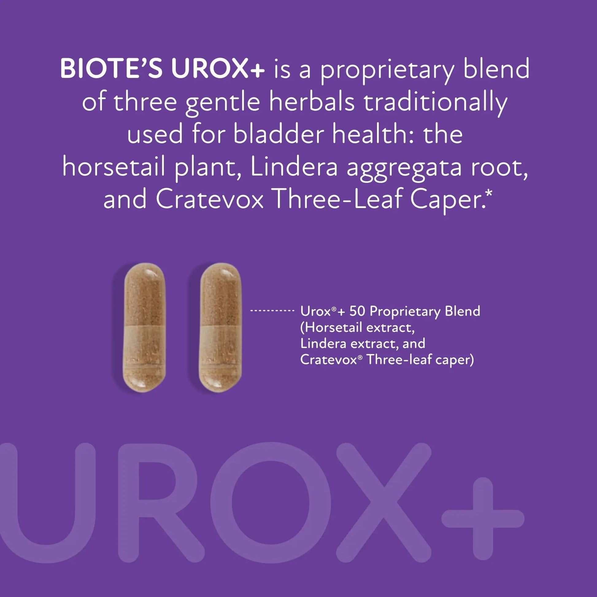 Biote Nutraceuticals - Urox+ - Bladder Health (60 Capsules) Biote buy supplements canada