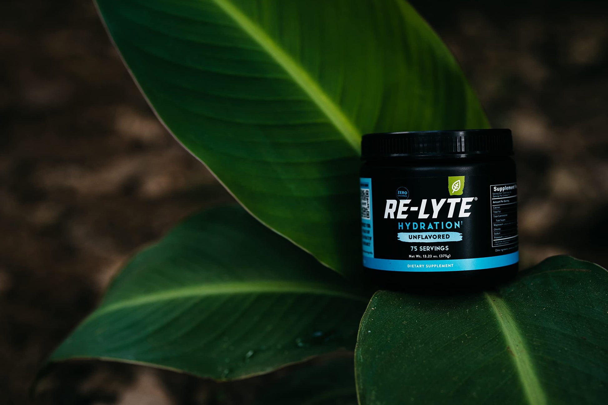 REDMOND Re-Lyte Hydration Electrolyte Mix (Unflavored) REDMOND buy supplements canada