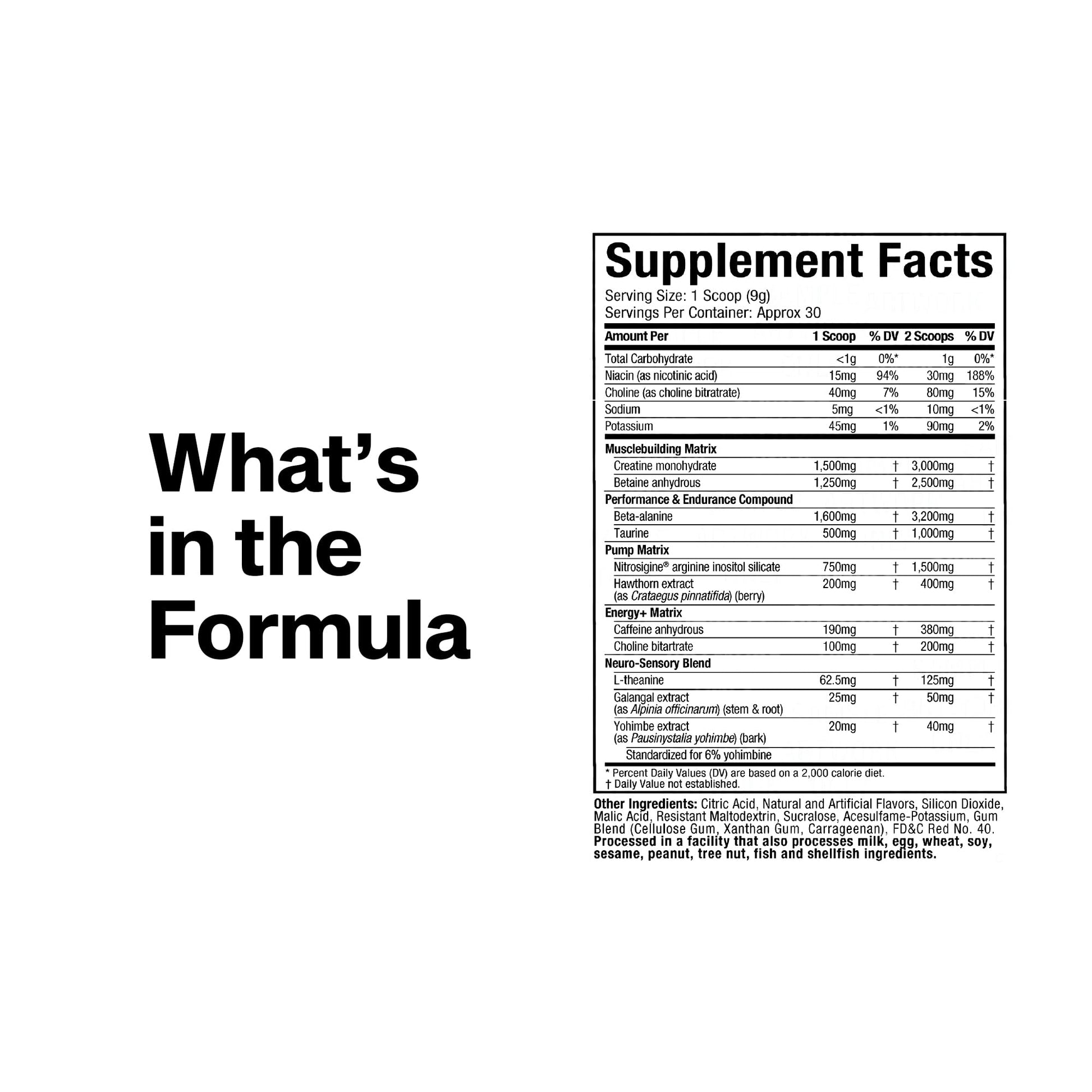MuscleTech Pre-Workout Powder, Vapor X5 - Sports Nutrition Muscle Building Supplements for Women & Men - Intense Muscle Pump Energy Powder Drink Mix MuscleTech buy supplements canada