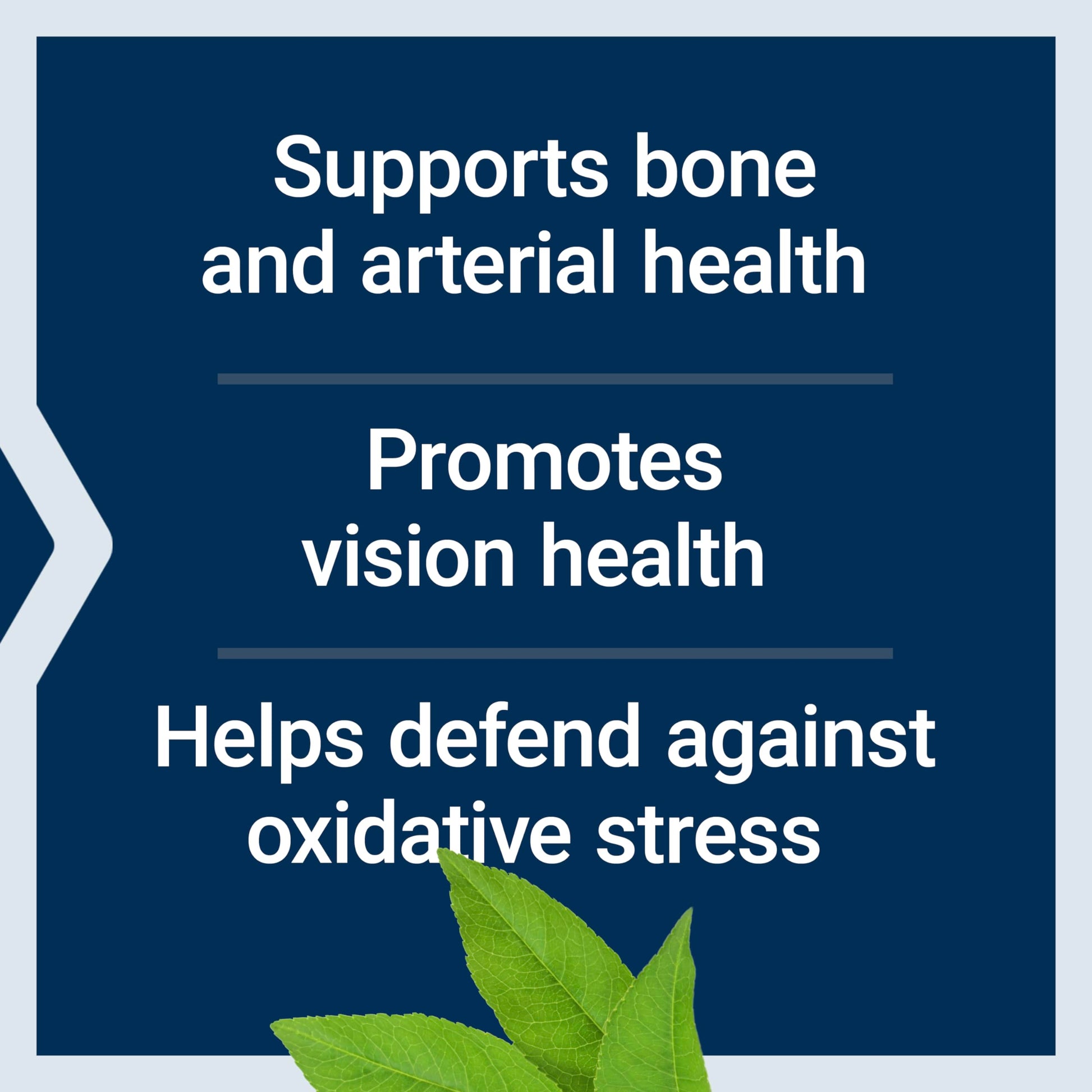 Life Extension Once-Daily Health Booster, Vitamins E, K1 & K2, phospholipids, Fat-Soluble nutrients for Eye Health, Bone Health, Heart Health, Gluten-Free, 1 Daily, Non-GMO, 30 softgels Life Extension buy supplements canada
