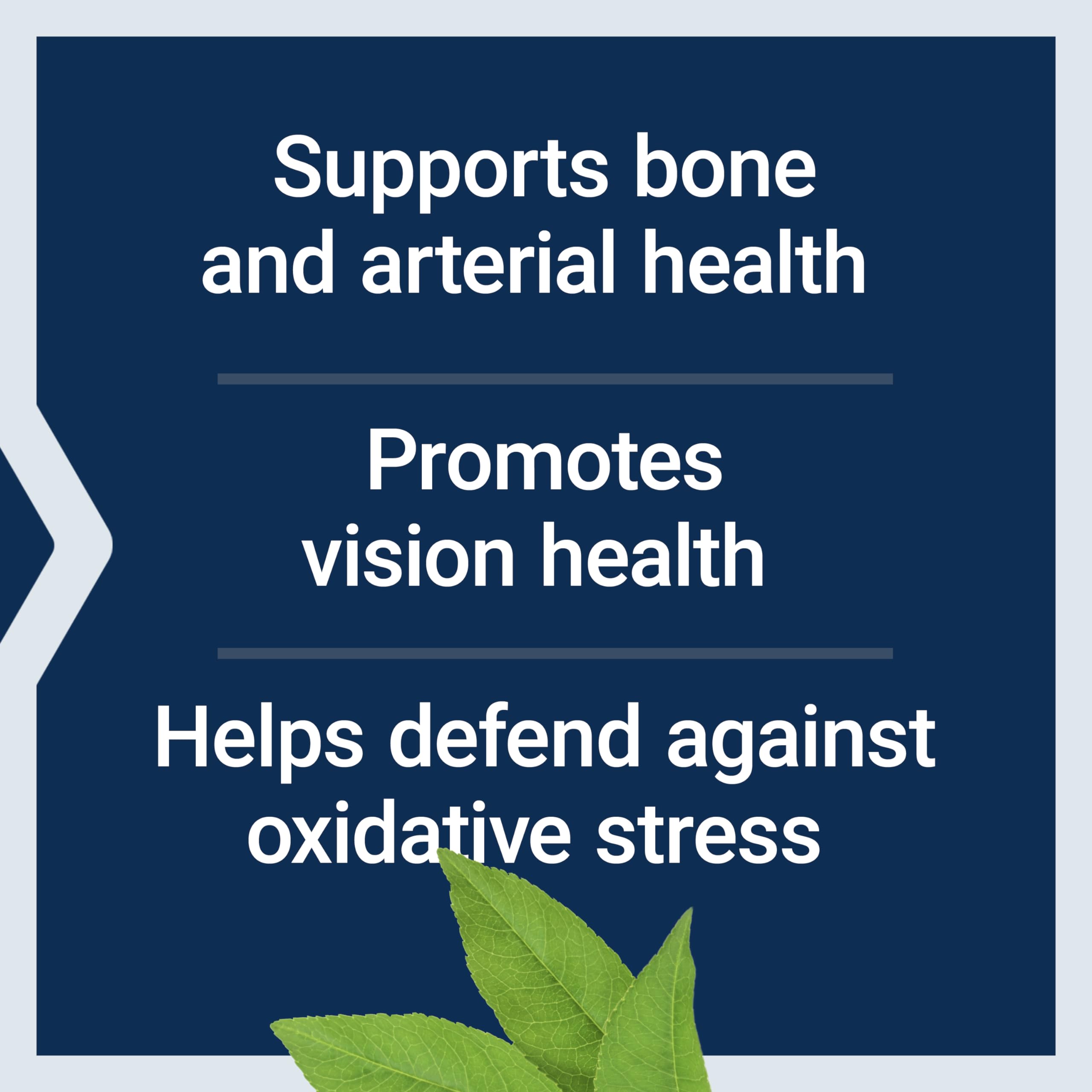 Life Extension Once-Daily Health Booster, Vitamins E, K1 & K2, phospholipids, Fat-Soluble nutrients for Eye Health, Bone Health, Heart Health, Gluten-Free, 1 Daily, Non-GMO, 30 softgels Life Extension buy supplements canada