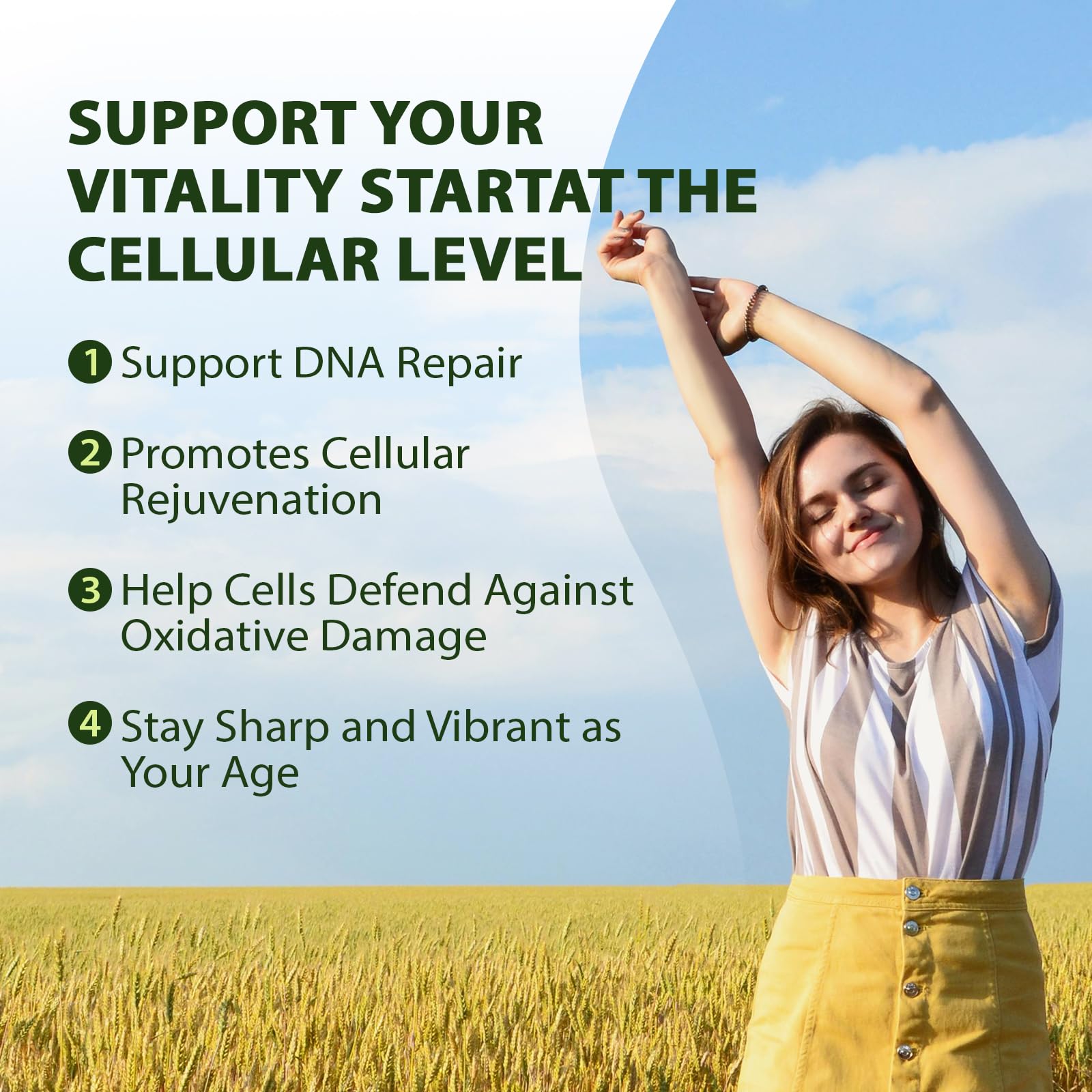 PureBotan Liposomal NAD+ Resveratrol Supplement 1300mg, High Bioavailable Trans Resveratrol ResUP10, with Extra Strength NAD Plus, Support Aging, Cardiovascular Health and Cellular Energy, 60 Capsules PureBotan buy supplements canada