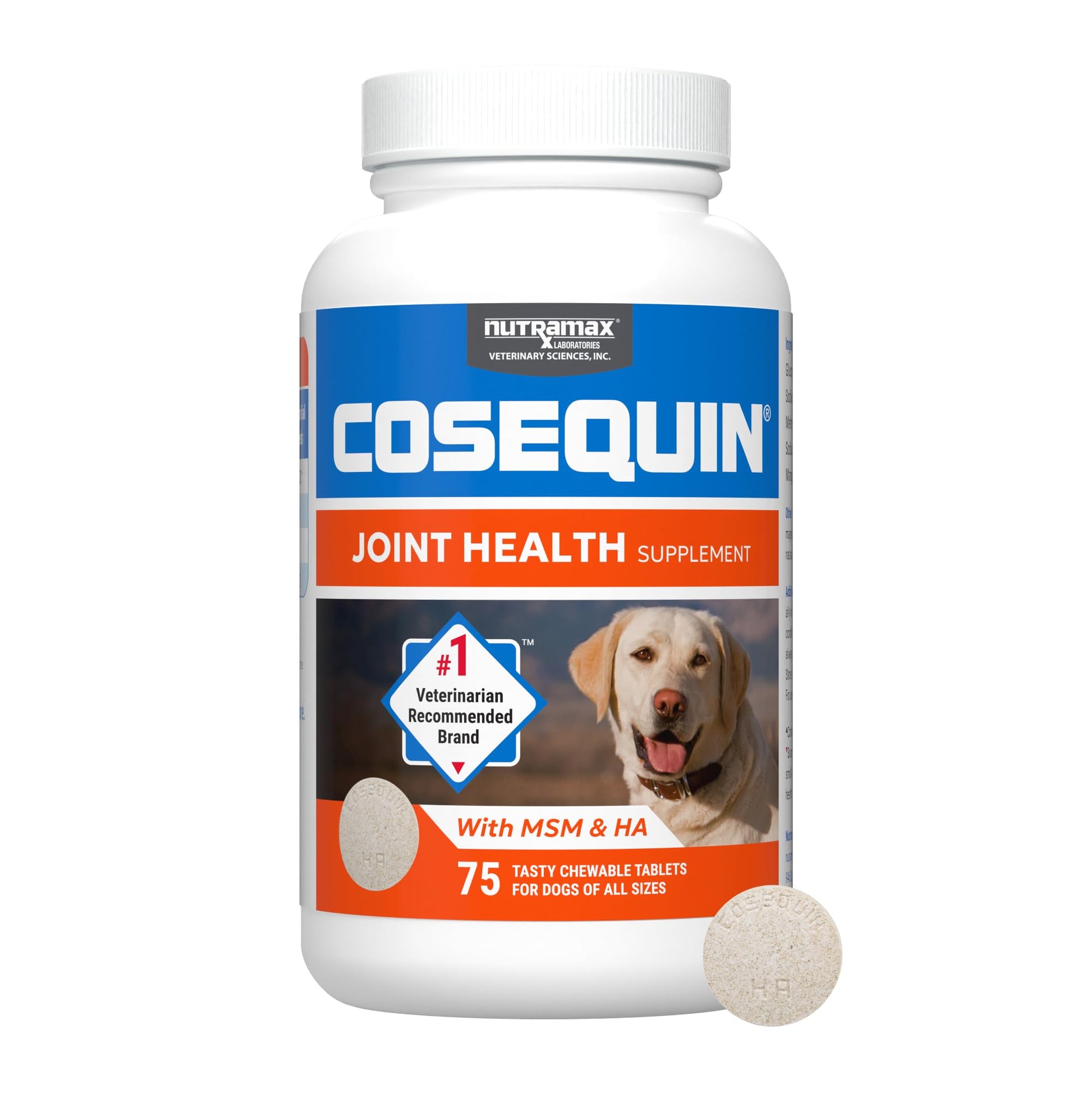 Nutramax Cosequin for Dogs Joint Health Supplement, Contains Glucosamine for Dogs, Plus Chondroitin, MSM and HA, Supports Healthy Joints, Chewable Tablets, 75 Count Nutramax Laboratories buy supplements canada