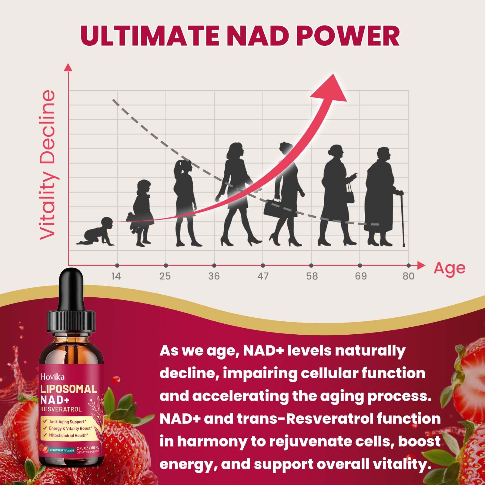 Liposomal NAD Supplement - 1200mg NAD+ Liquid Drops for Women & Men with Resveratrol, Black Pepper Extract - Support Anti-Aging, Brain & Cellular Mitochondrial Health - 2 Fl Oz, Strawberry Flavor Hovika buy supplements canada