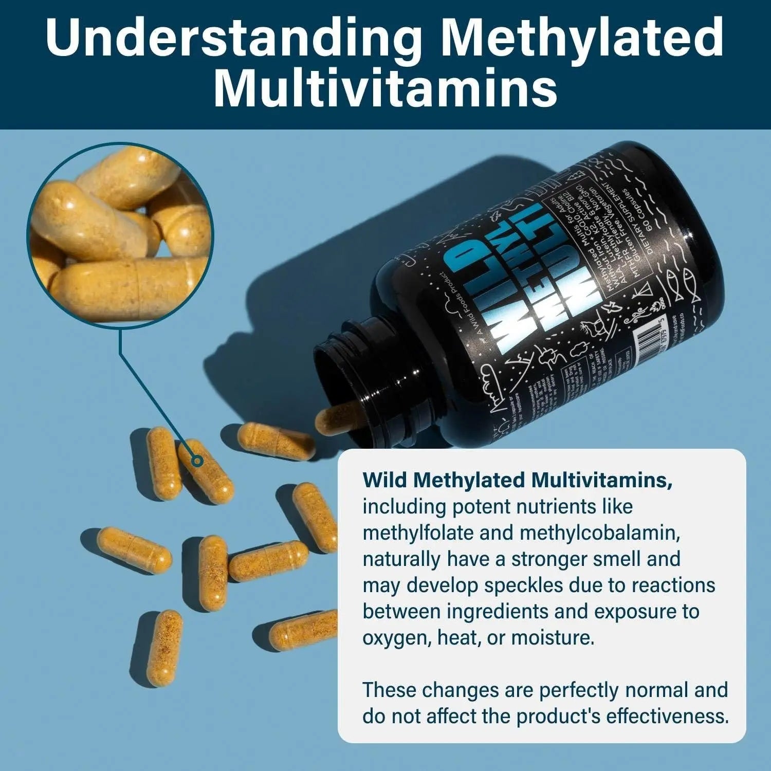 Wild Methylated Multivitamin for Women & Men | Daily Multi Vitamin | MTHFR Supplement Without Iron | Methylated B12, Folate, Vitamin C, A, K2, D, E Wild Foods buy supplements canada