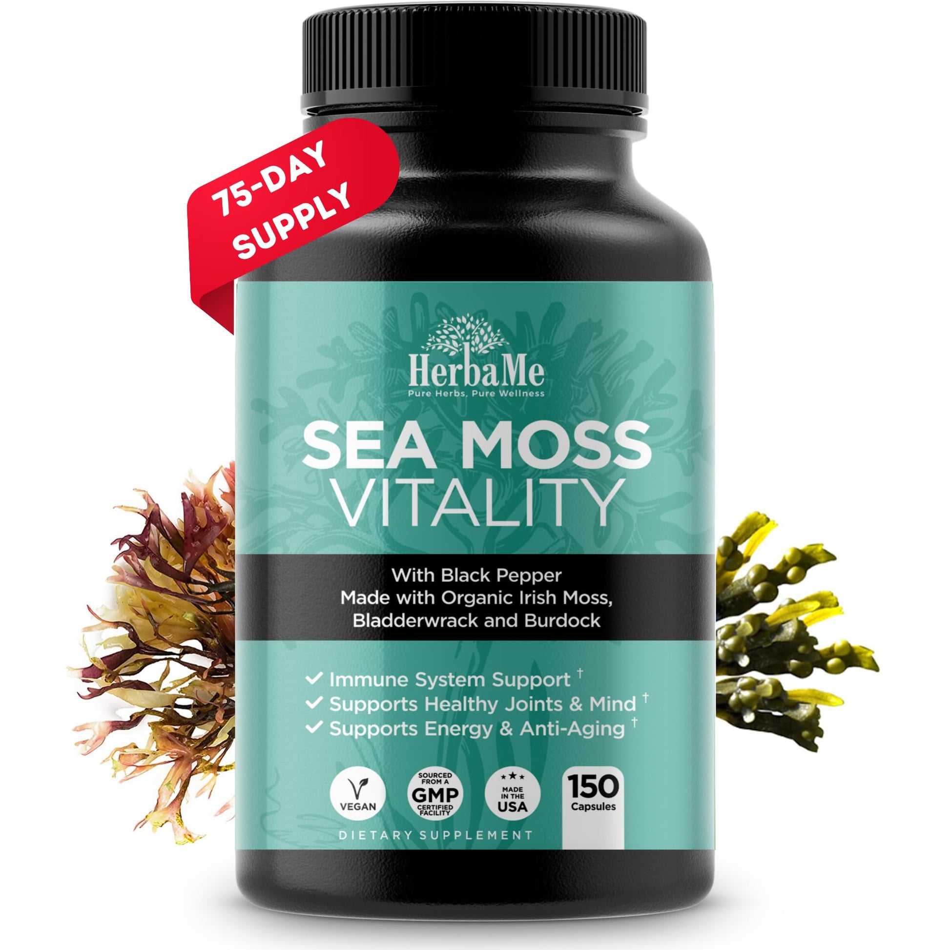 HerbaMe Organic Irish Sea Moss with Bladderwrack, Burdock Root & Black Pepper Extract, 150 Capsules, Thyroid Support, Natural Iodine Source, Promotes Immune System, Cell Food, Alkaline Supplement HerbaMe buy supplements canada