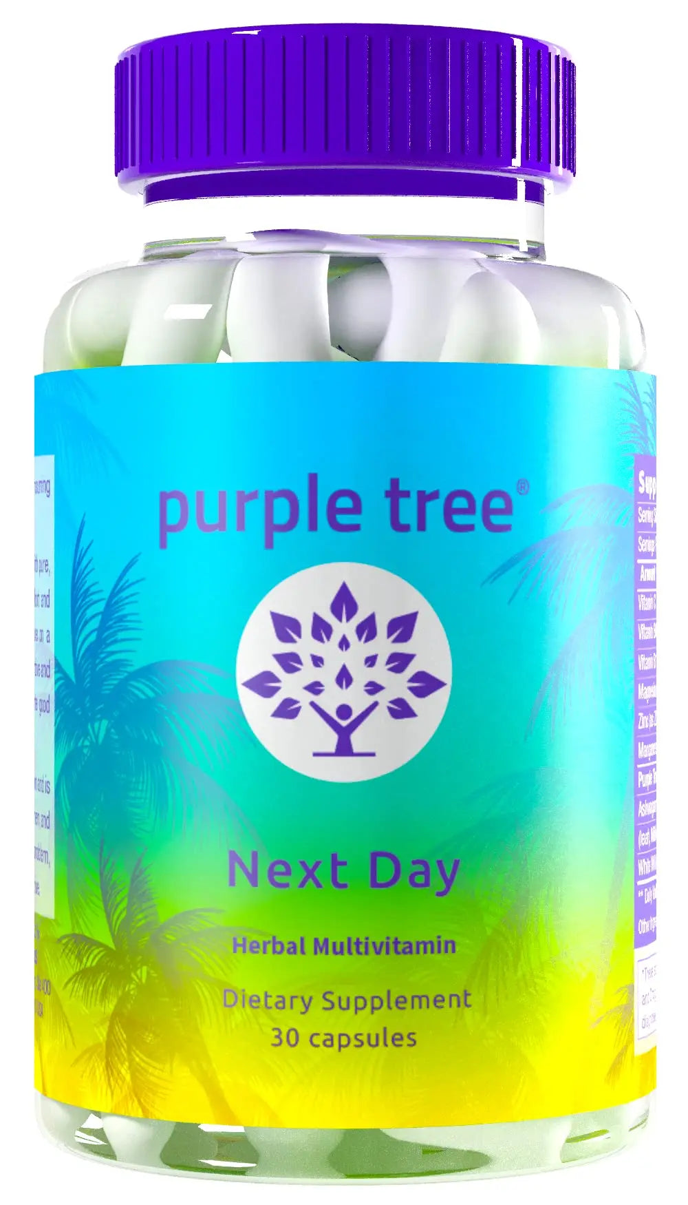 purple tree Next Day – Post-Drink Morning Wellness Supplement for Balance, Restore & Replenishment | Ashwagandha KSM-66, Milk Thistle, Ginger purple tree buy supplements canada