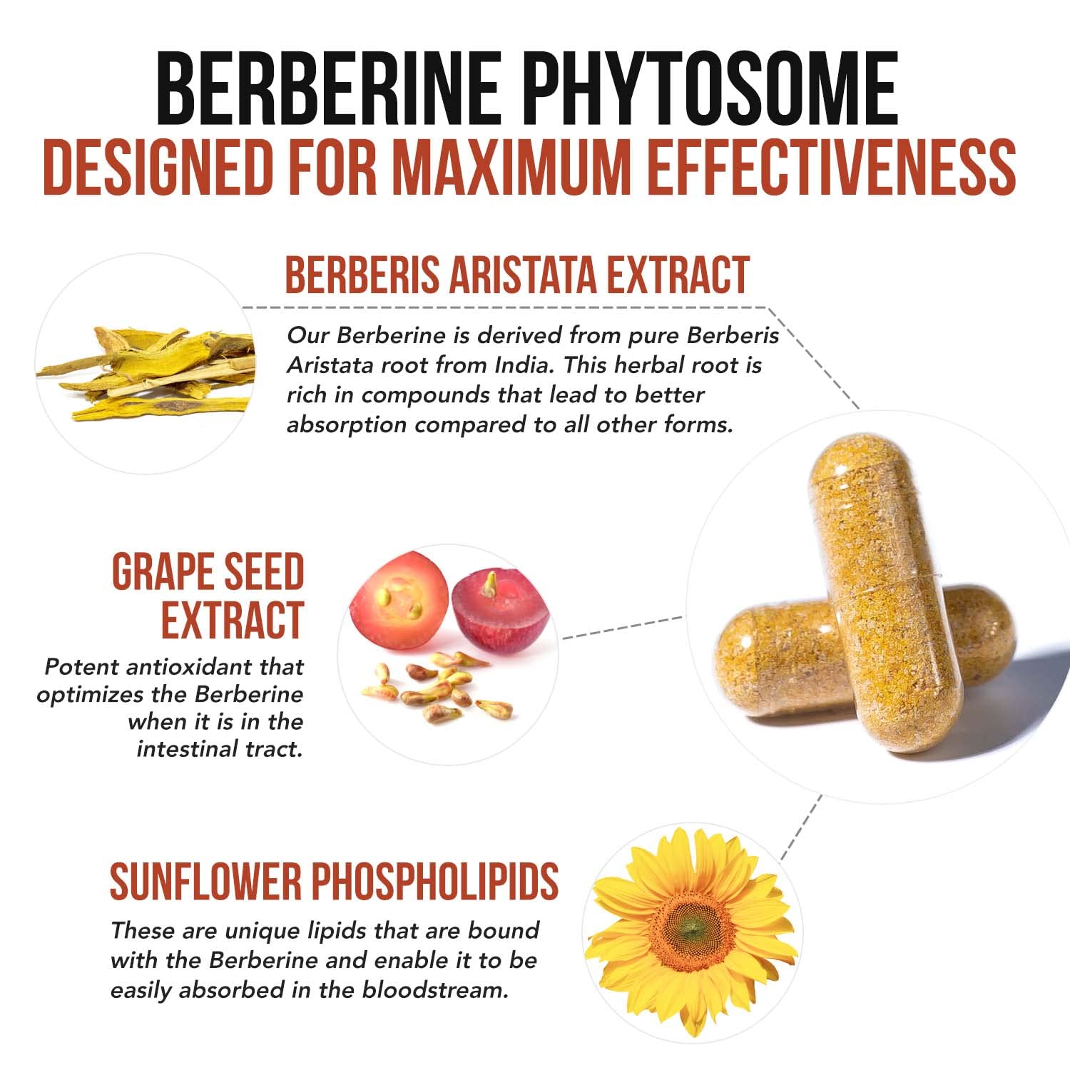 SoActive Berberine 550mg: 9.6X Higher Absorption, Clinically Proven Most Effective Triquetra Health buy supplements canada