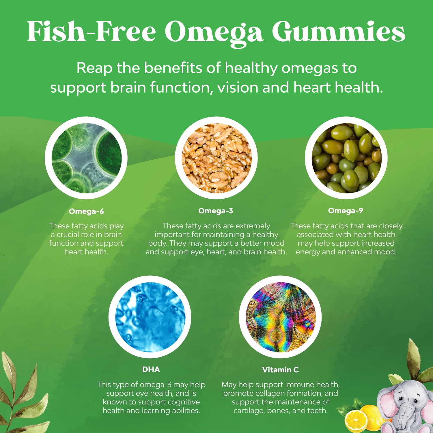 Bundle of Kids DHA Omega 3 Gummies - Fatty Acids Omega 3 6 9 for Brain Immune Strength Vision Focus Support and Liquid Multivitamin for Kids Immunity Support Natures Craft buy supplements canada