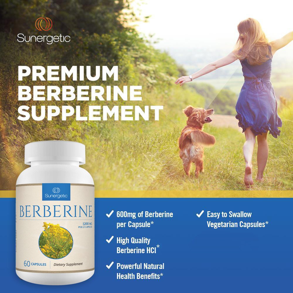 Premium Berberine Supplement - 1200mg of Berberine Per Serving - Berberine HCL Sunergetic buy supplements canada