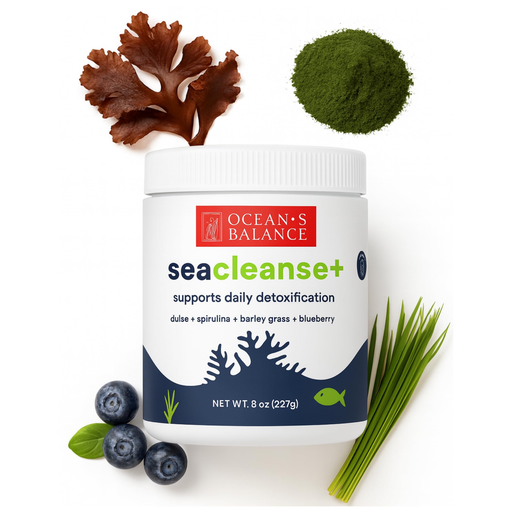 Ocean's Balance Seacleanse+ Daily Detox Cleanse Powder | Gut Health & Immune Support | Supports Gentle Cleanse & Vitality | 8oz Ocean's Balance Clean Taste of Maine buy supplements canada