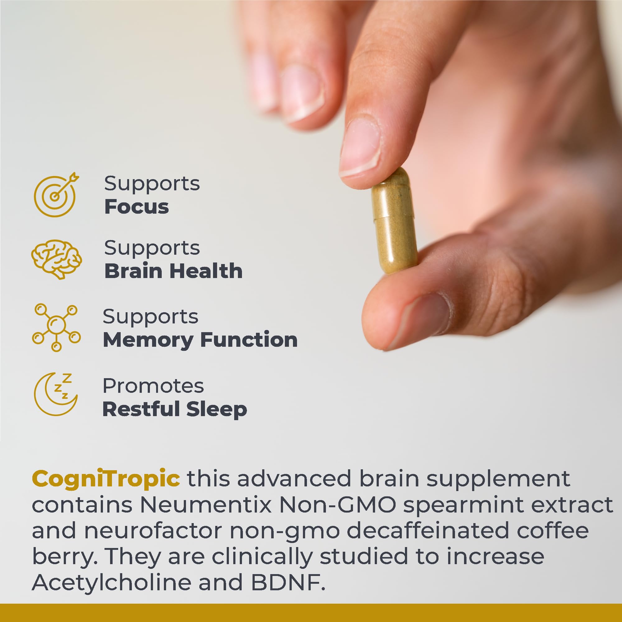 Premier Research Labs Cognitropic -  Supplements for Memory and Focus, Focus Supplement, Brain and Memory Power Boost, Clarity Vitamins Premier Research Labs buy supplements canada