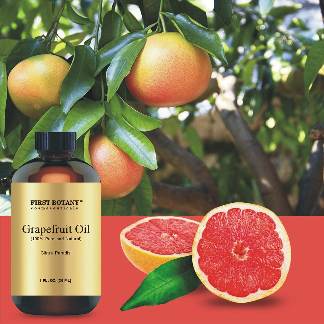 100% Pure Essential Oil - Premium Oil for Aromatherapy, Massage, Topical & Household Uses - 1 fl oz (Grapefruit) First Botany buy supplements canada