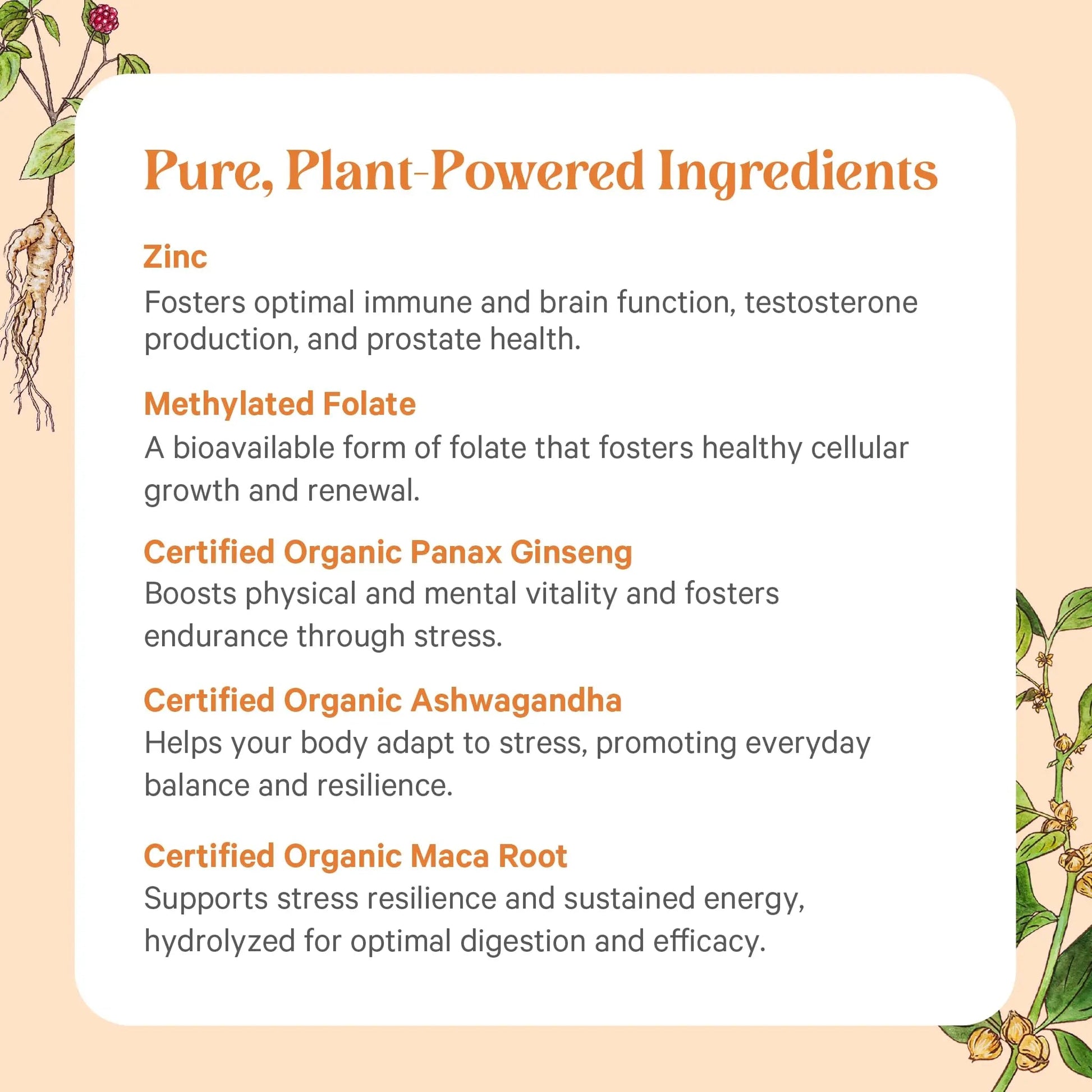 PURE SYNERGY Vita·Min·Vitality | Natural Multivitamin for Men | Men’s Daily Multivitamin Made with Organic Whole Foods | PURE SYNERGY buy supplements canada
